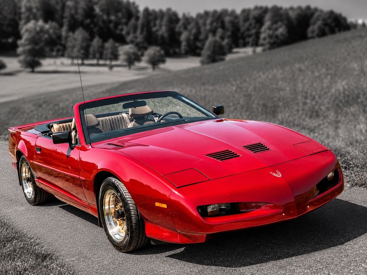 PONTIAC Firebird Veteran 5.0L V8 Trans Am-image-8