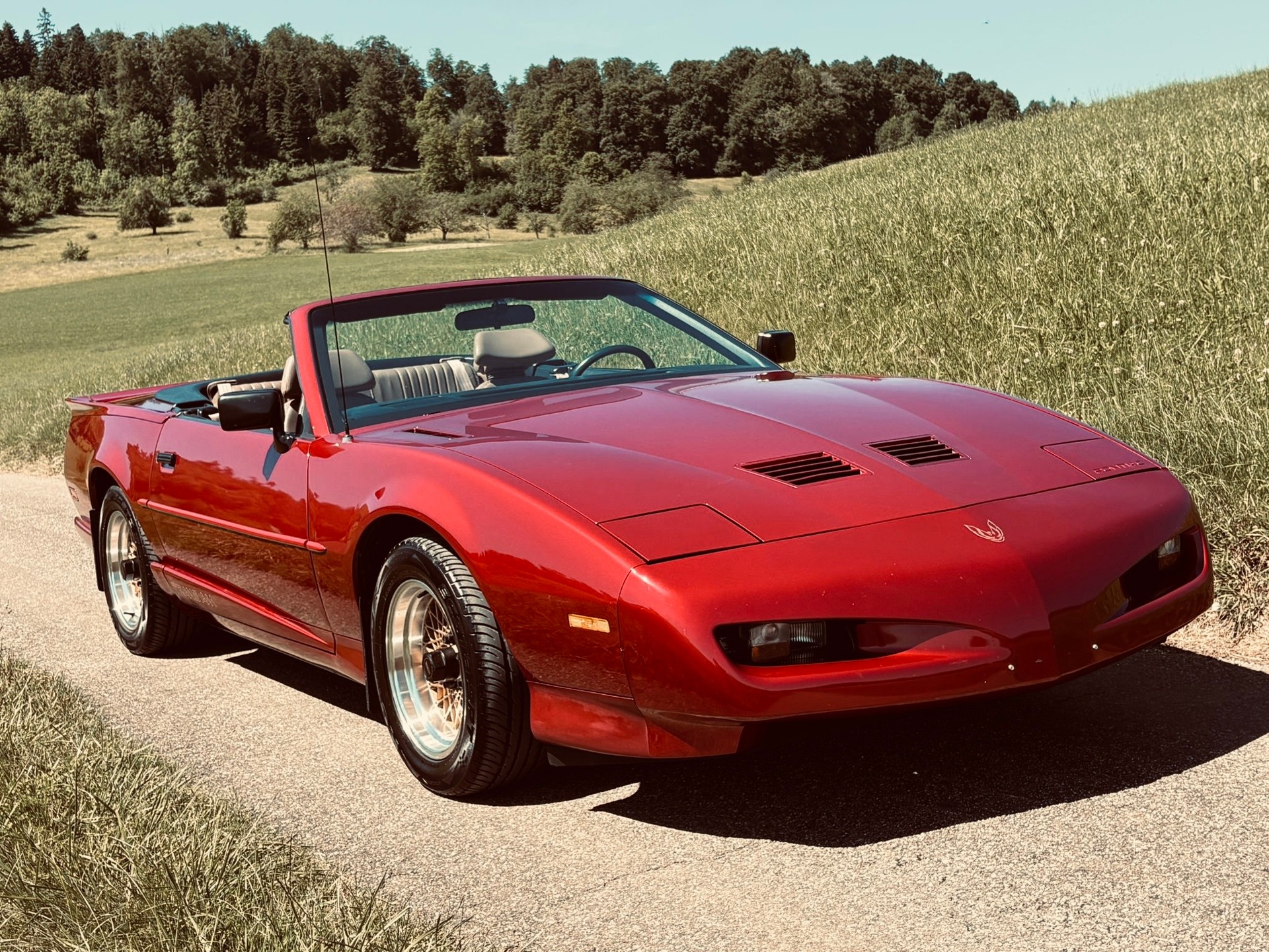 PONTIAC Firebird Veteran 5.0L V8 Trans Am-image-1