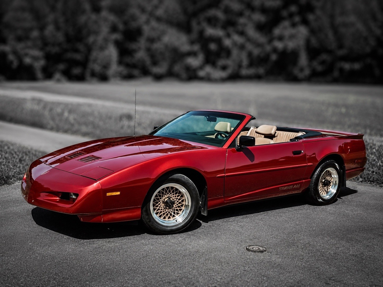 PONTIAC Firebird Veteran 5.0L V8 Trans Am