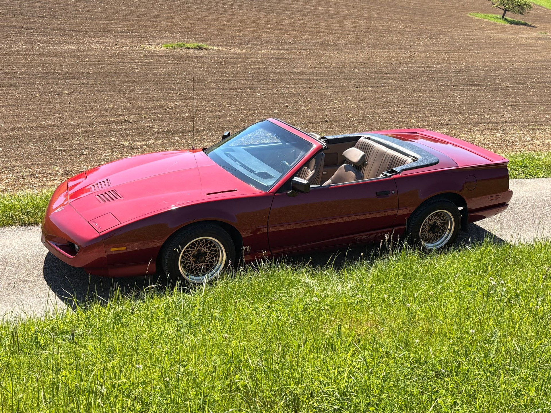 PONTIAC Firebird Veteran 5.0L V8 Trans Am-image-7