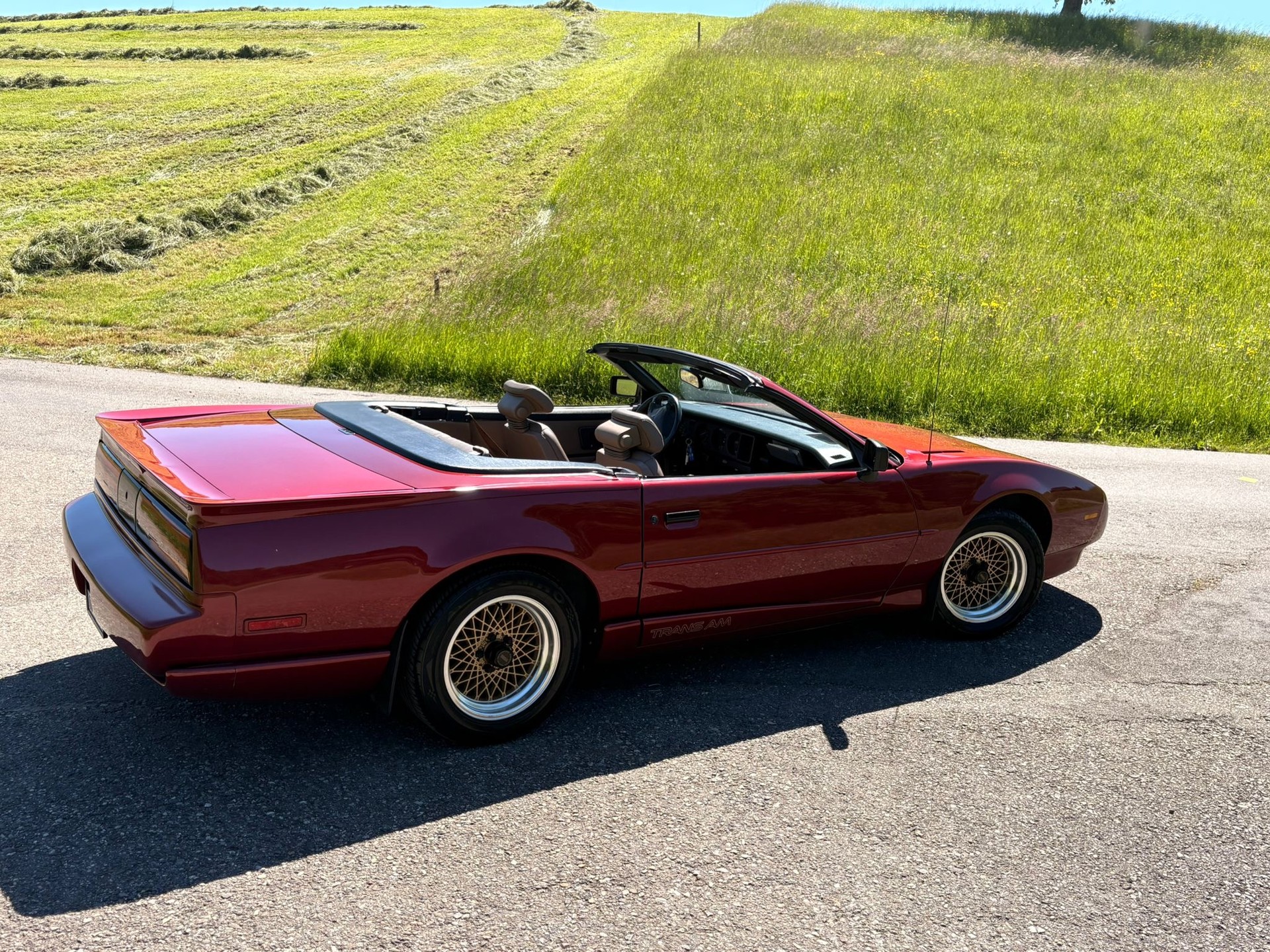 PONTIAC Firebird Veteran 5.0L V8 Trans Am-image-6