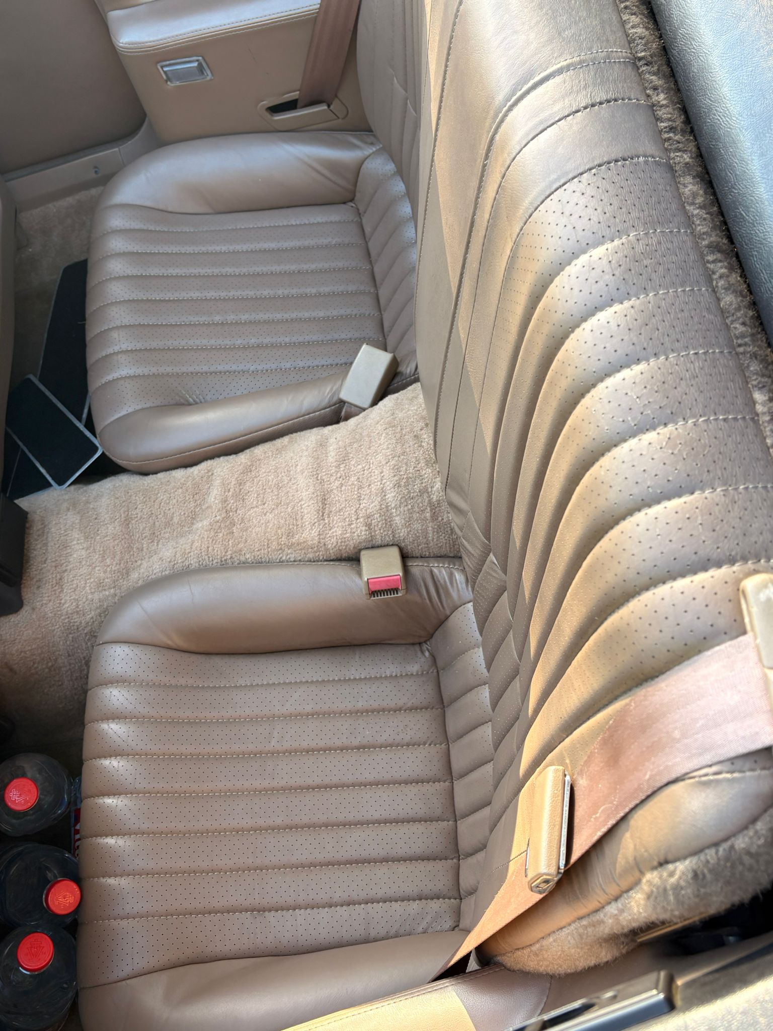 PONTIAC Firebird Veteran 5.0L V8 Trans Am-image-11