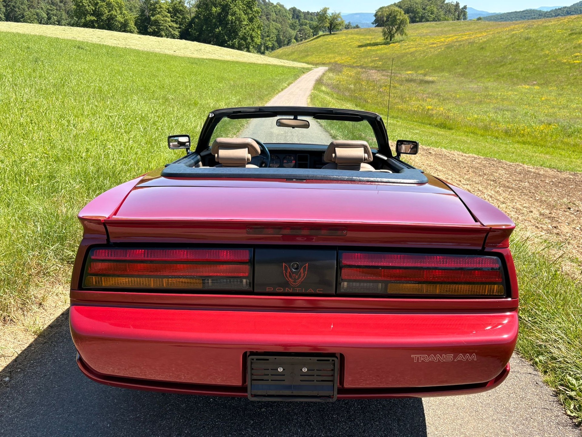 PONTIAC Firebird Veteran 5.0L V8 Trans Am-image-9