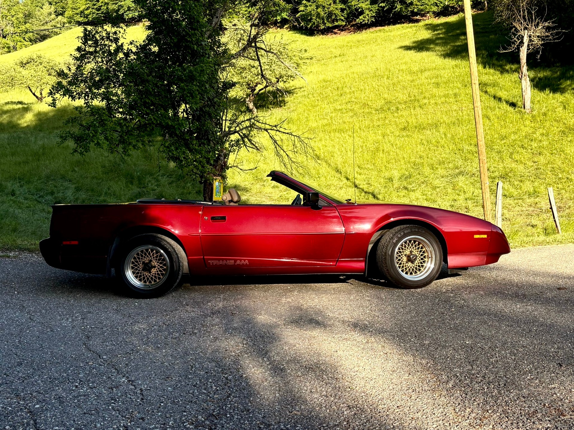 PONTIAC Firebird Veteran 5.0L V8 Trans Am-image-10