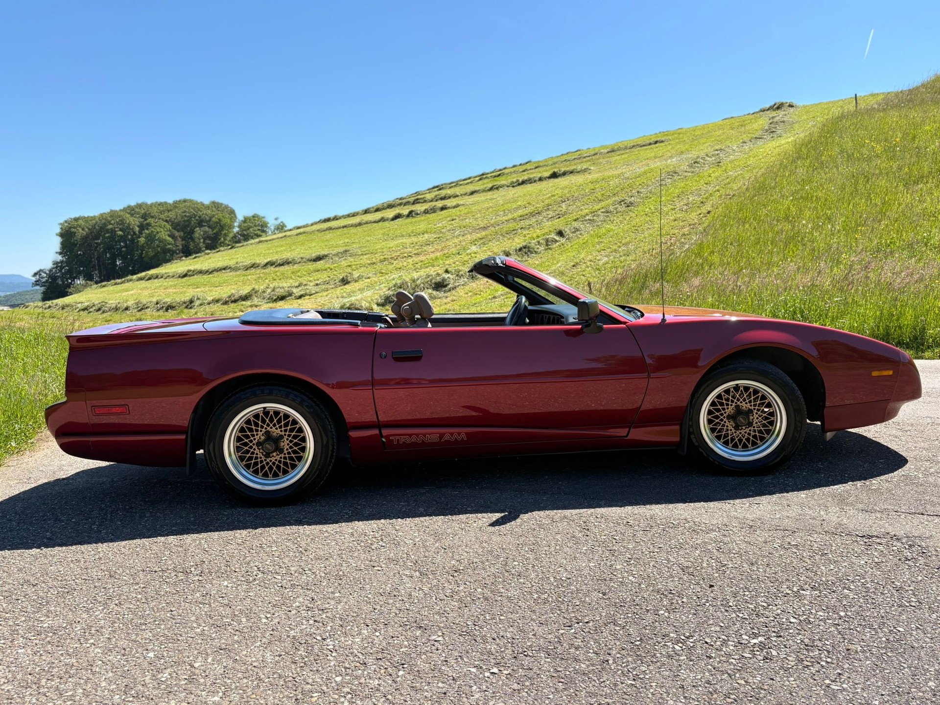 PONTIAC Firebird Veteran 5.0L V8 Trans Am-image-5