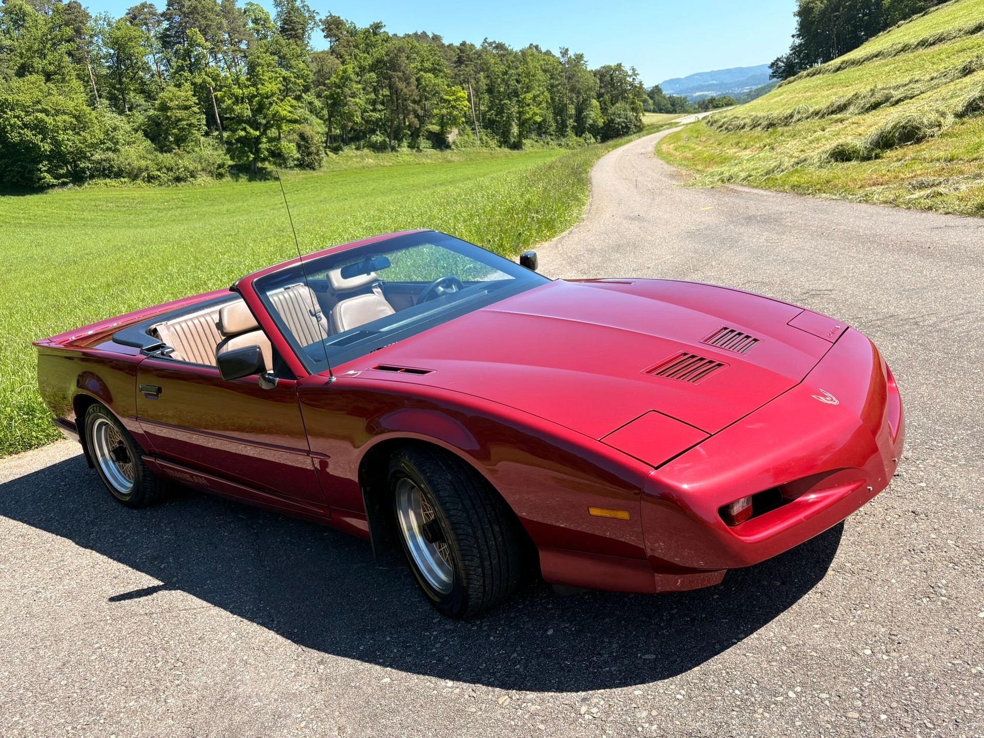 PONTIAC Firebird Veteran 5.0L V8 Trans Am-image-19