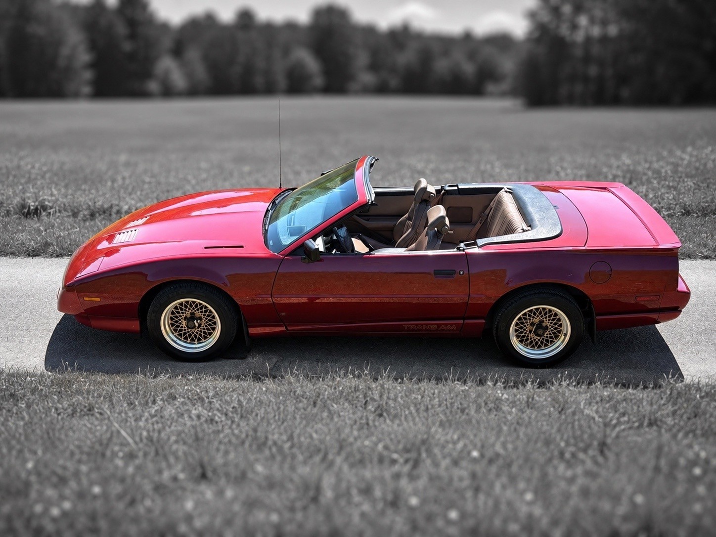 PONTIAC Firebird Veteran 5.0L V8 Trans Am-image-2