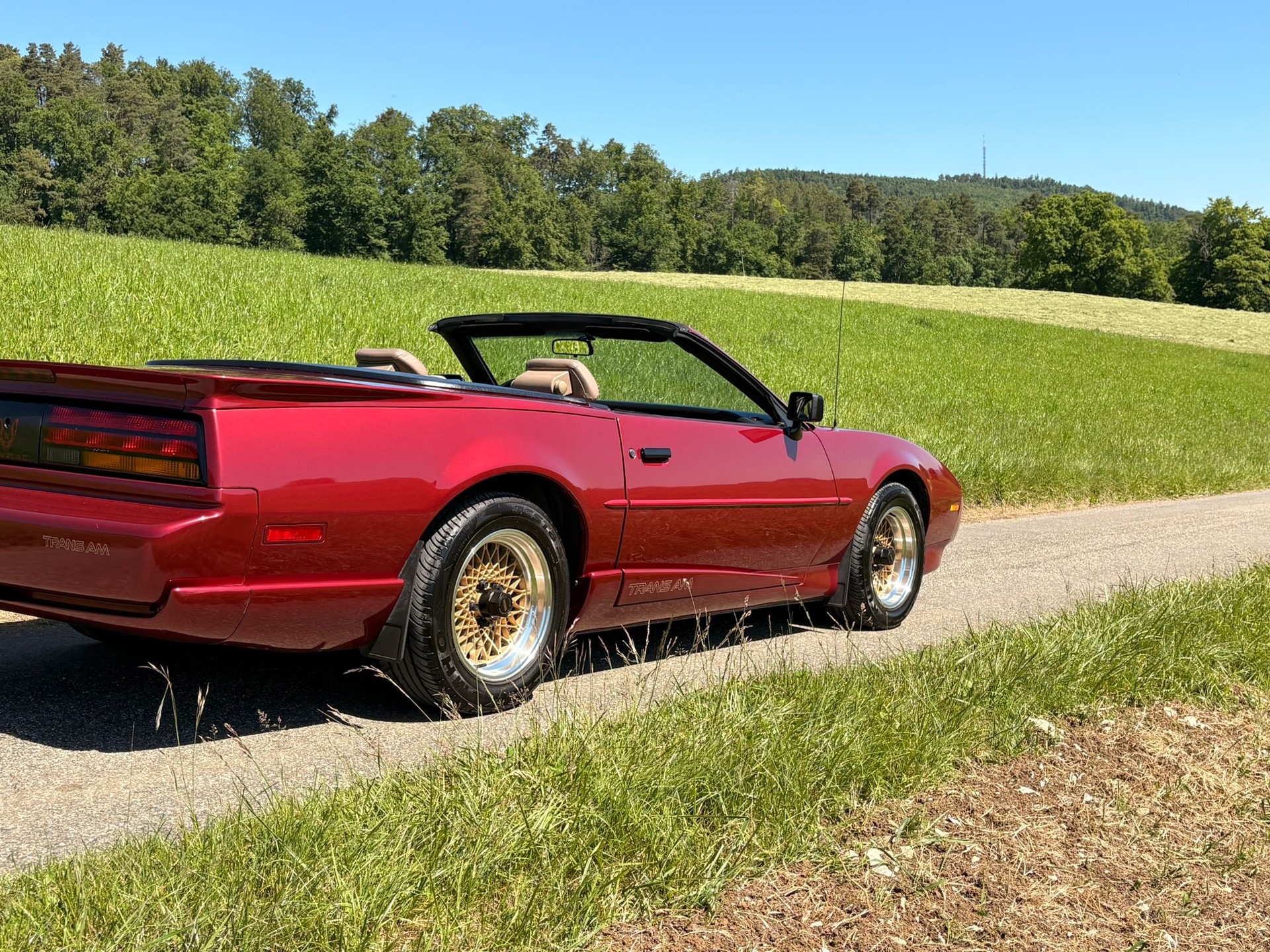 PONTIAC Firebird Veteran 5.0L V8 Trans Am-image-8