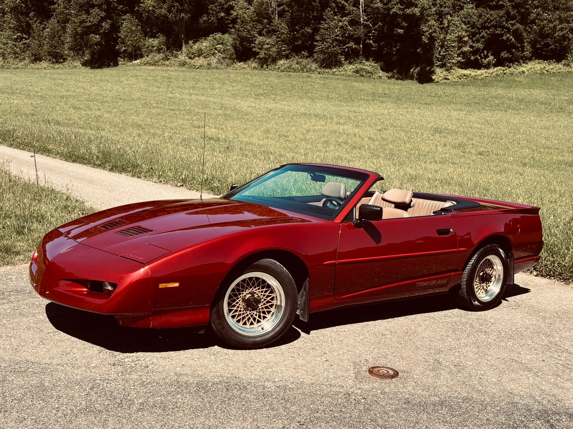 PONTIAC Firebird Veteran 5.0L V8 Trans Am-image-3