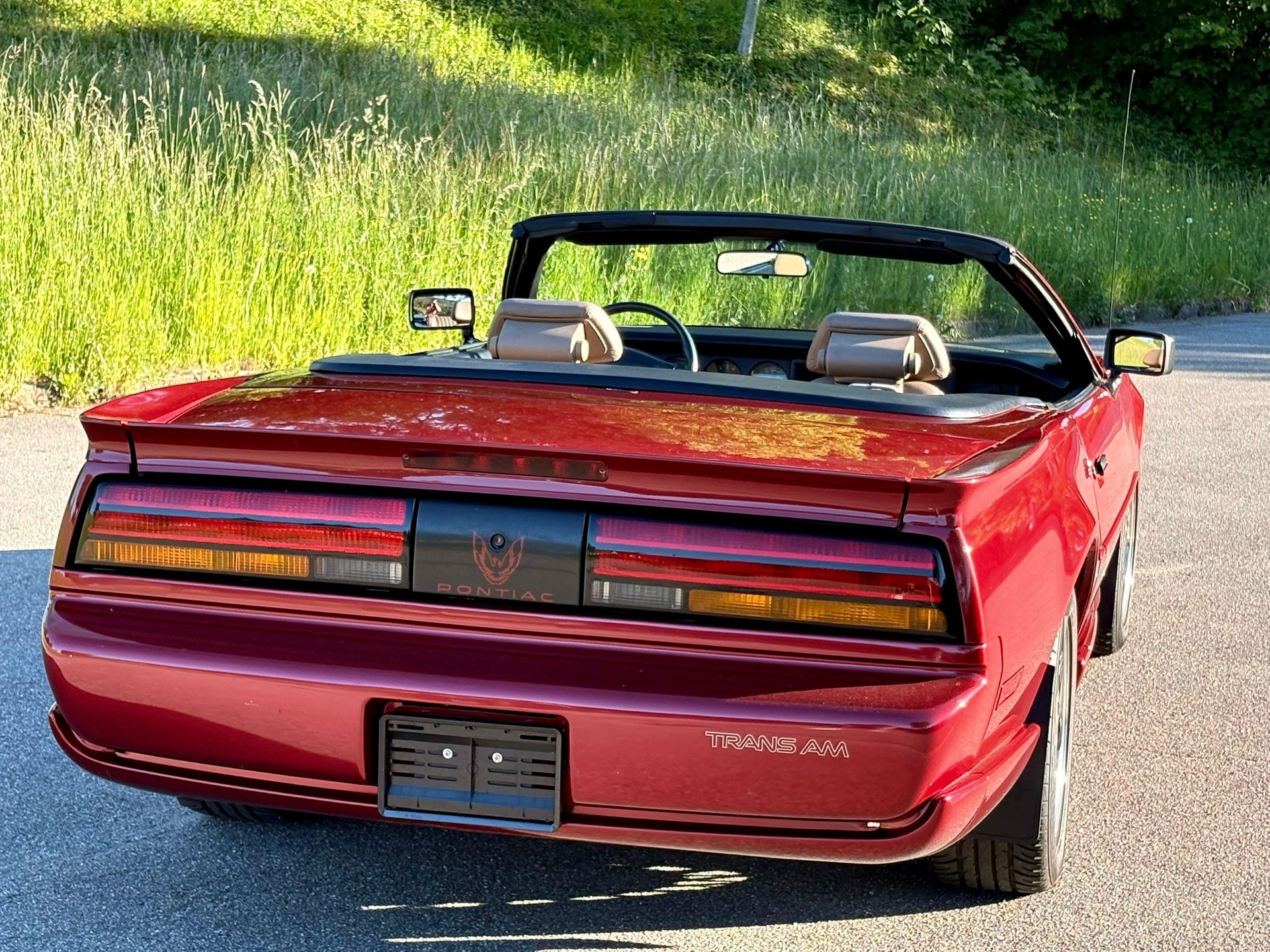 PONTIAC Firebird Veteran 5.0L V8 Trans Am-image-18