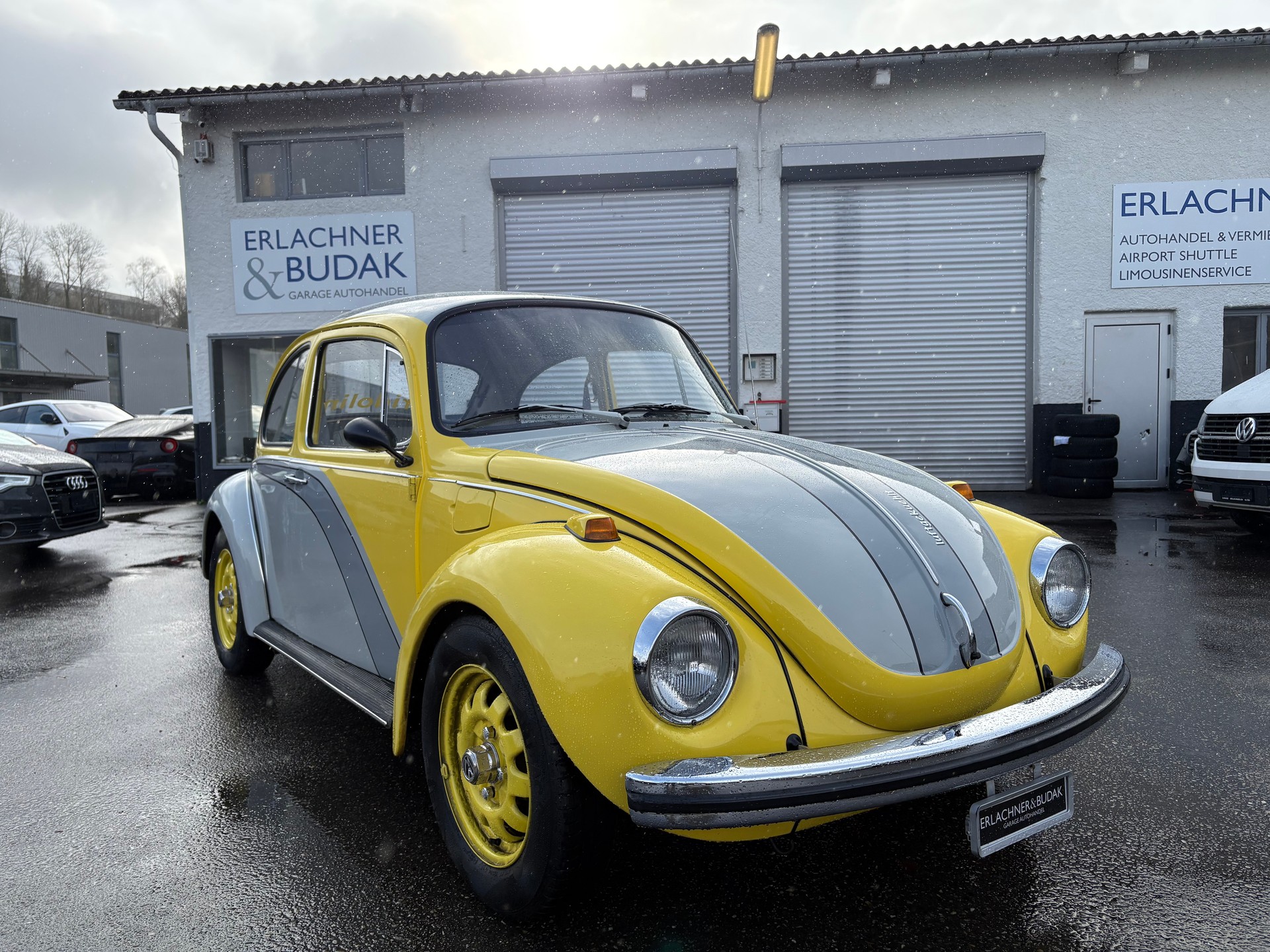 VW Käfer 1303