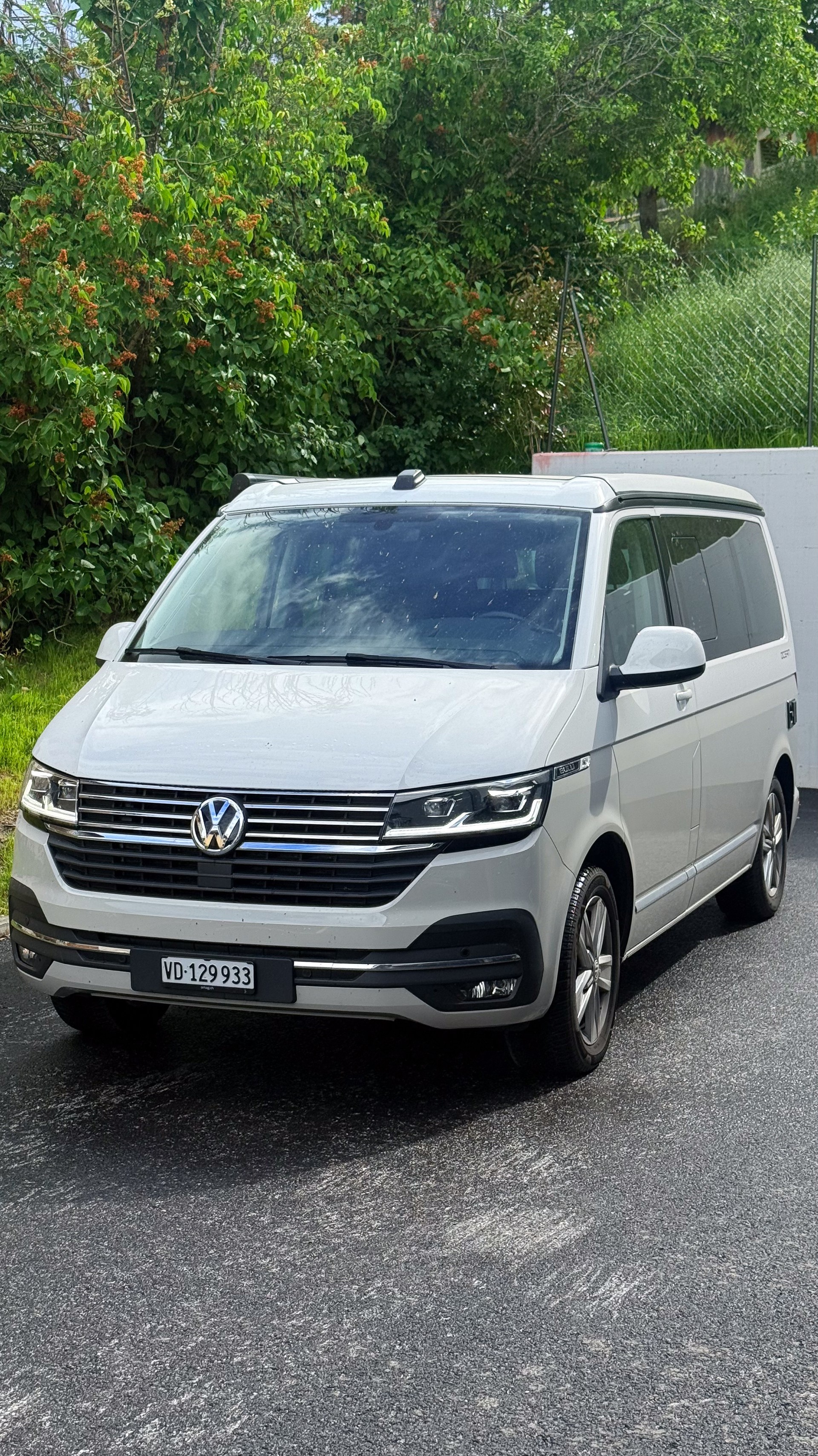 VW Ocean