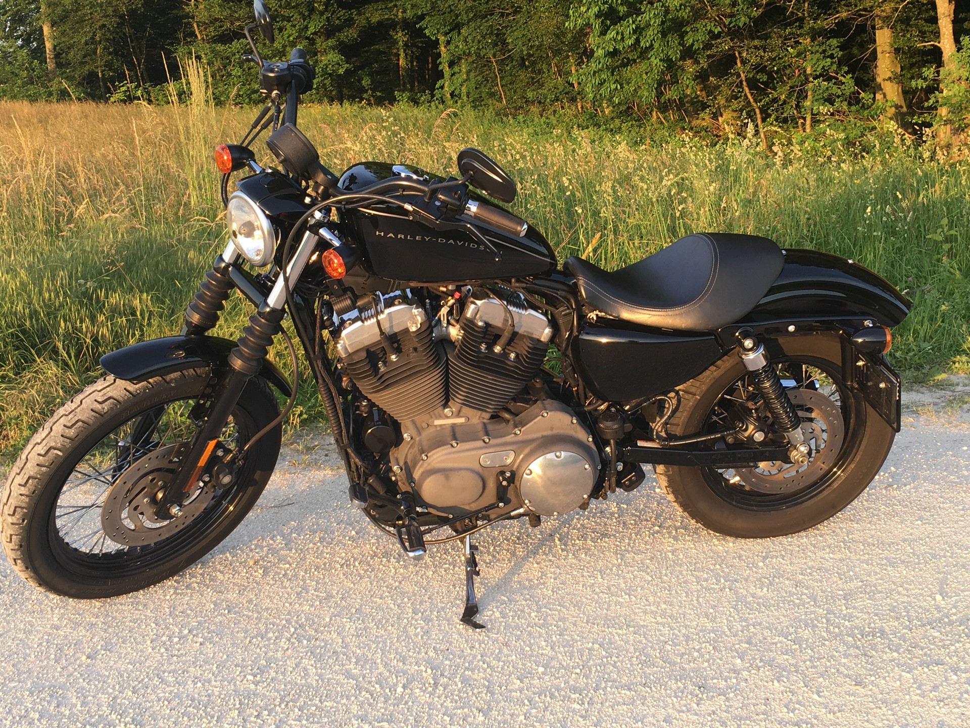 HARLEY-DAVIDSON XL 1200 N Sportster Nightster-image-0
