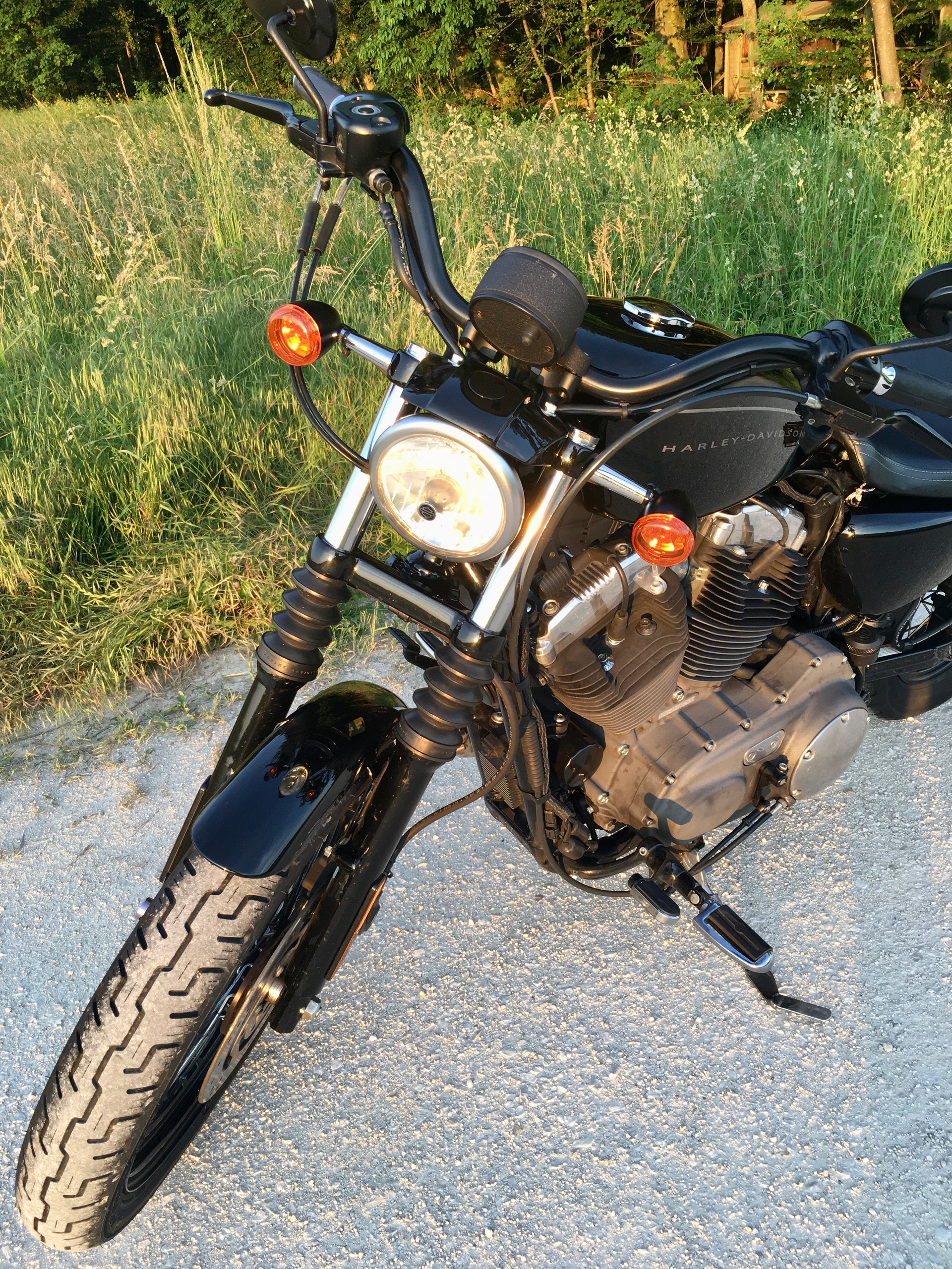 HARLEY-DAVIDSON XL 1200 N Sportster Nightster-image-2
