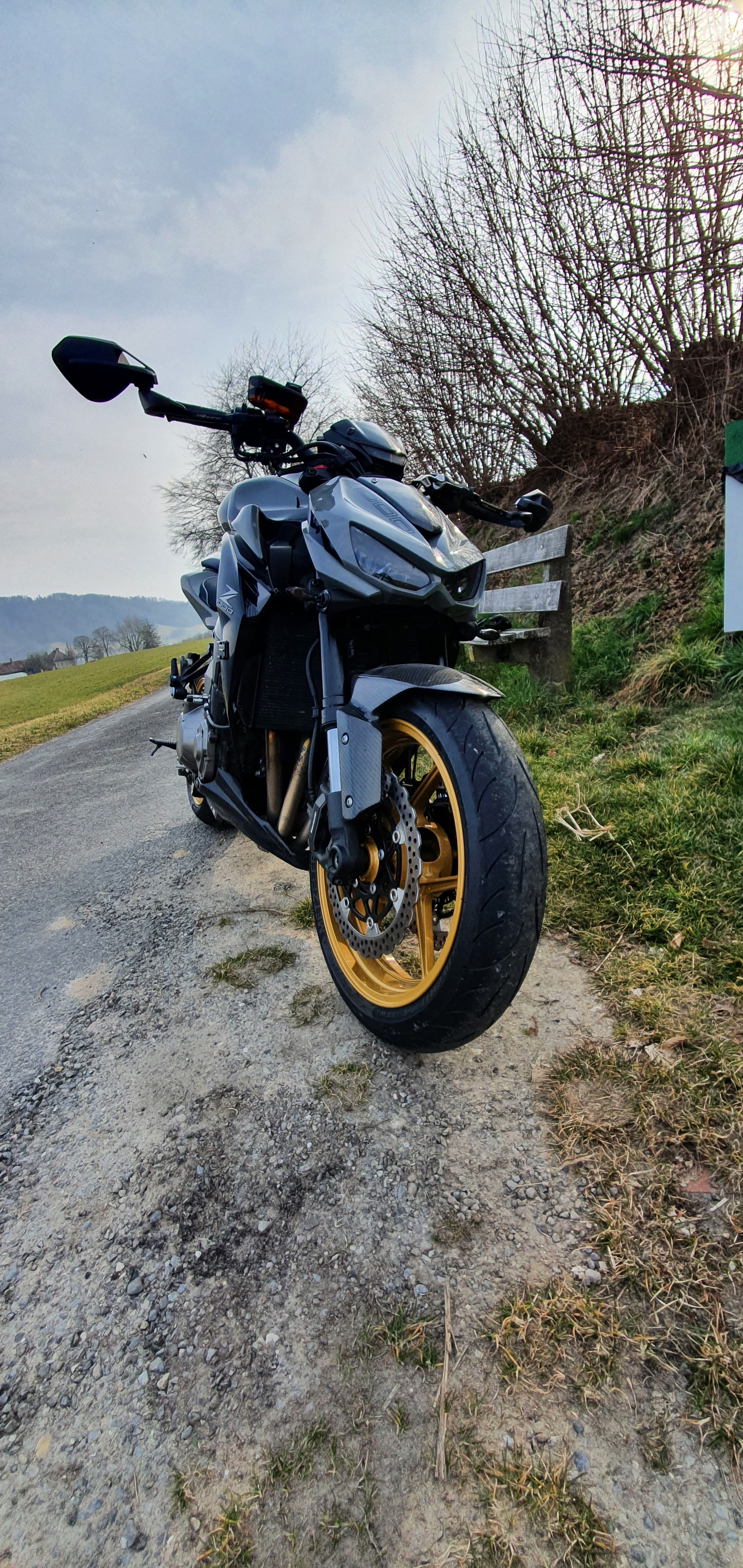 KAWASAKI Z 1000 Special Edition ABS-image-3