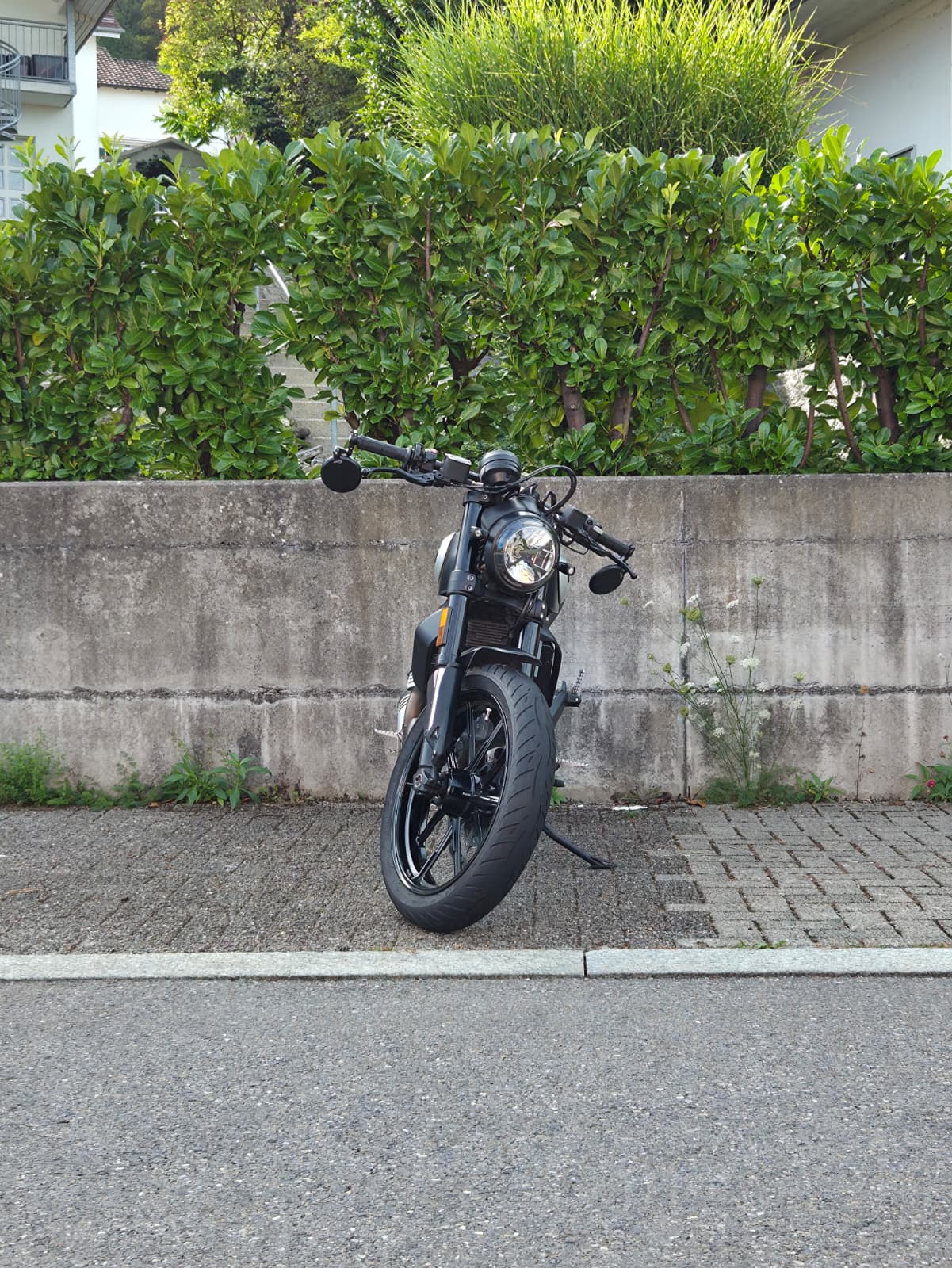 DUCATI Scrambler 800 Street Classic (35kW) ABS Icon Dark Edition-image-3