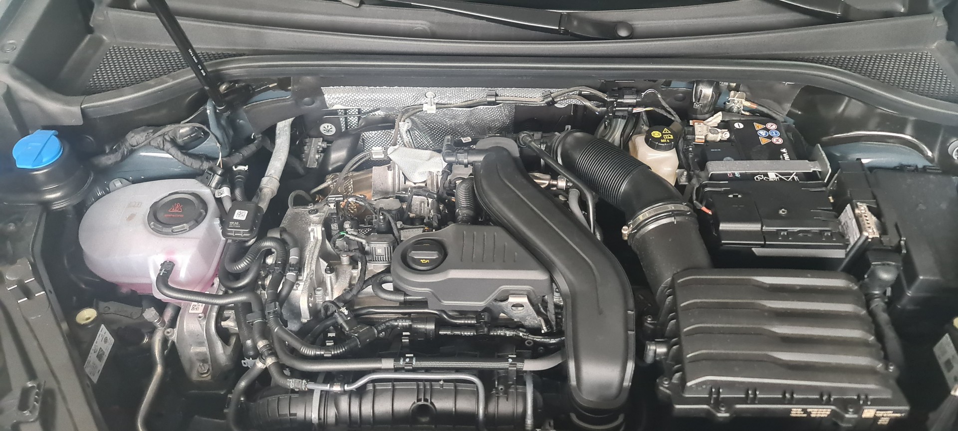 CUPRA Terramar 1.5 eTSI DSG-image-13