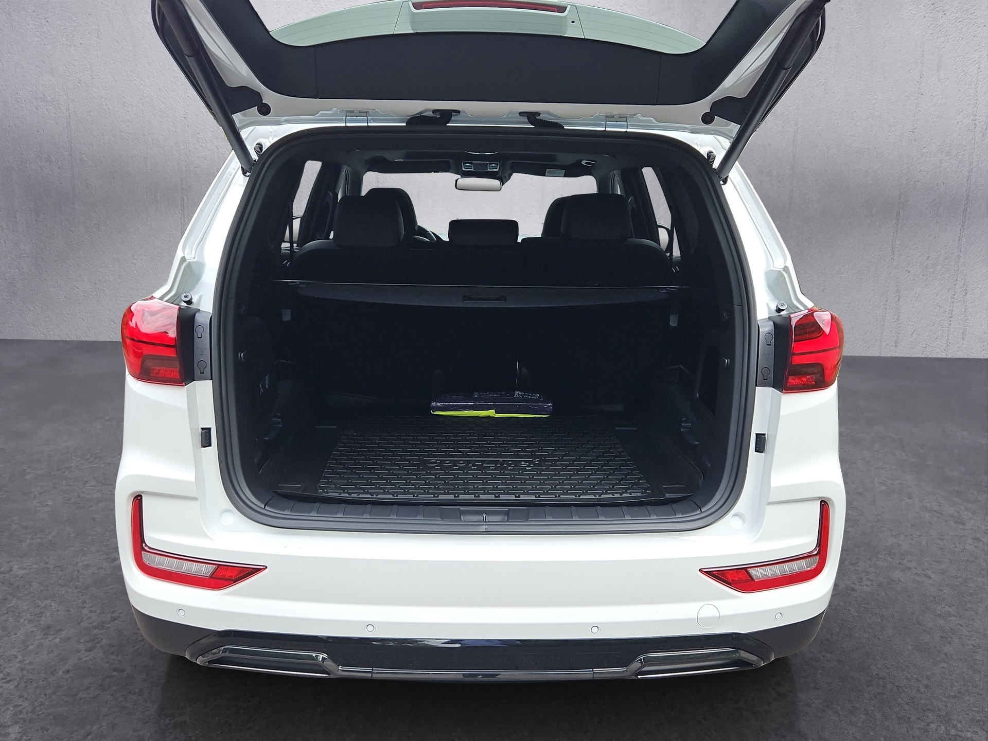 KGM-SsangYong Rexton 2.2 Diesel Blackline 4WD - 3'500kg-image-22