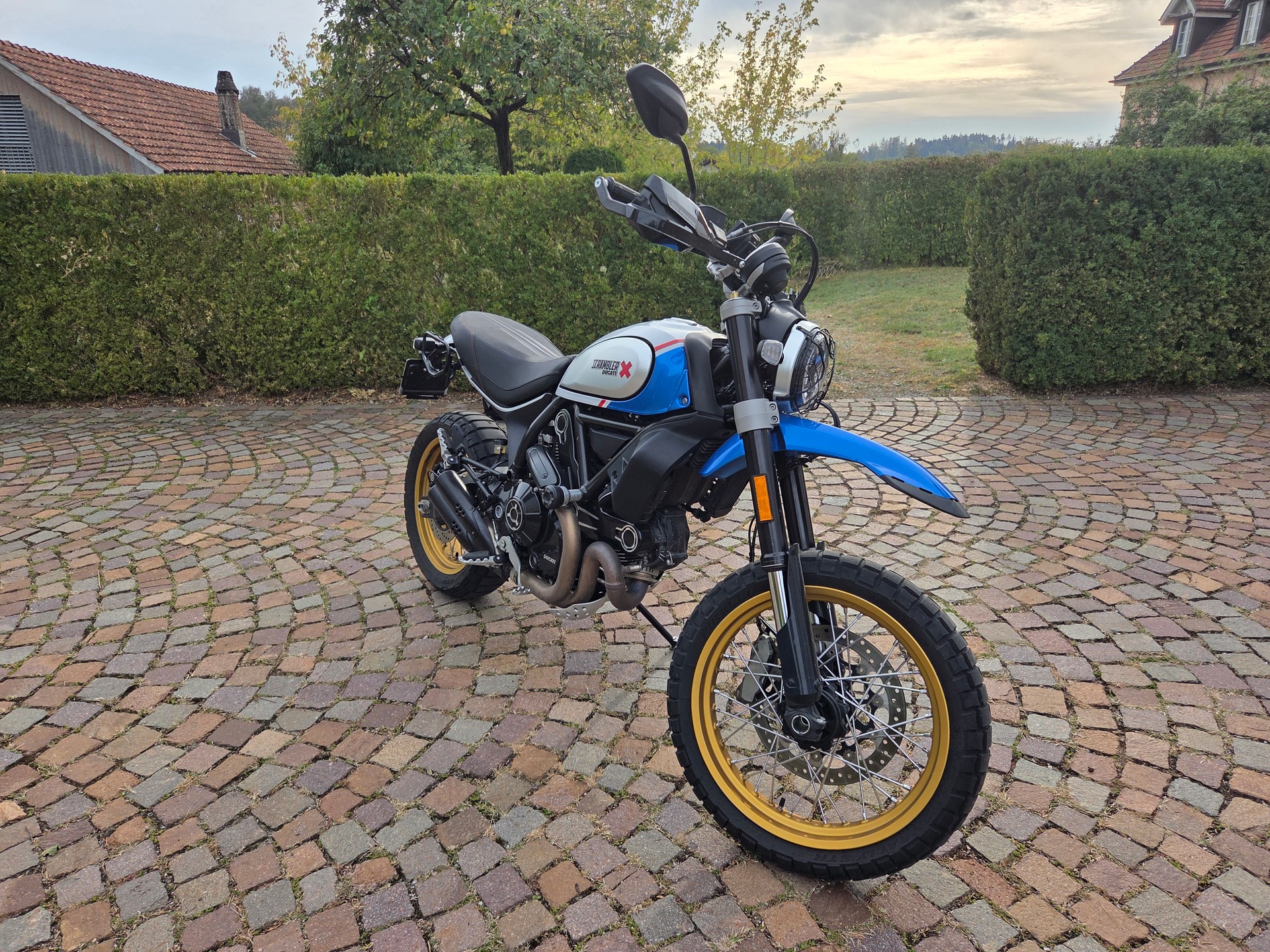 DUCATI Scrambler 803 Desert Sled-image-4