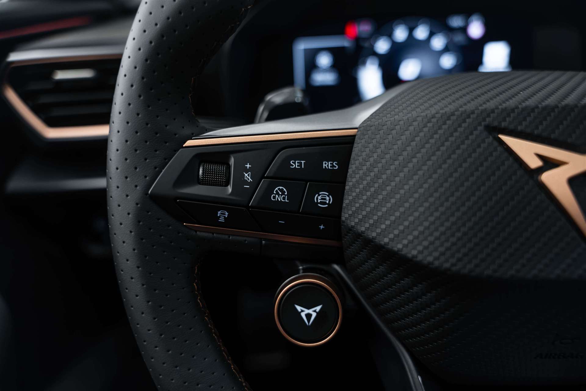 CUPRA CUPRA Formentor 2.0TSi VZ 333PS 4Drive DSG-Automat-image-20
