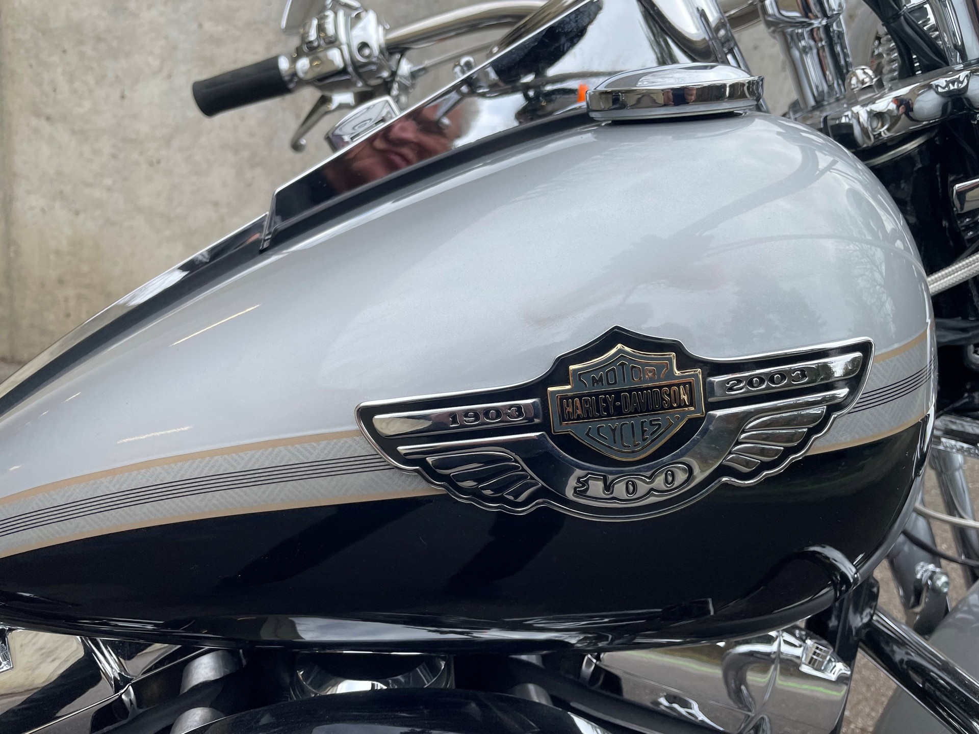 HARLEY-DAVIDSON FLSTS Heritage Springer-image-2