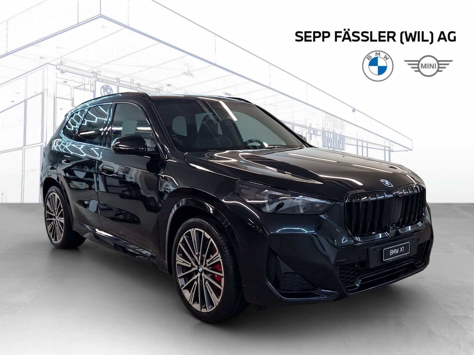 BMW X1 xDrive 30e M Sport Pro-showroom-element-2