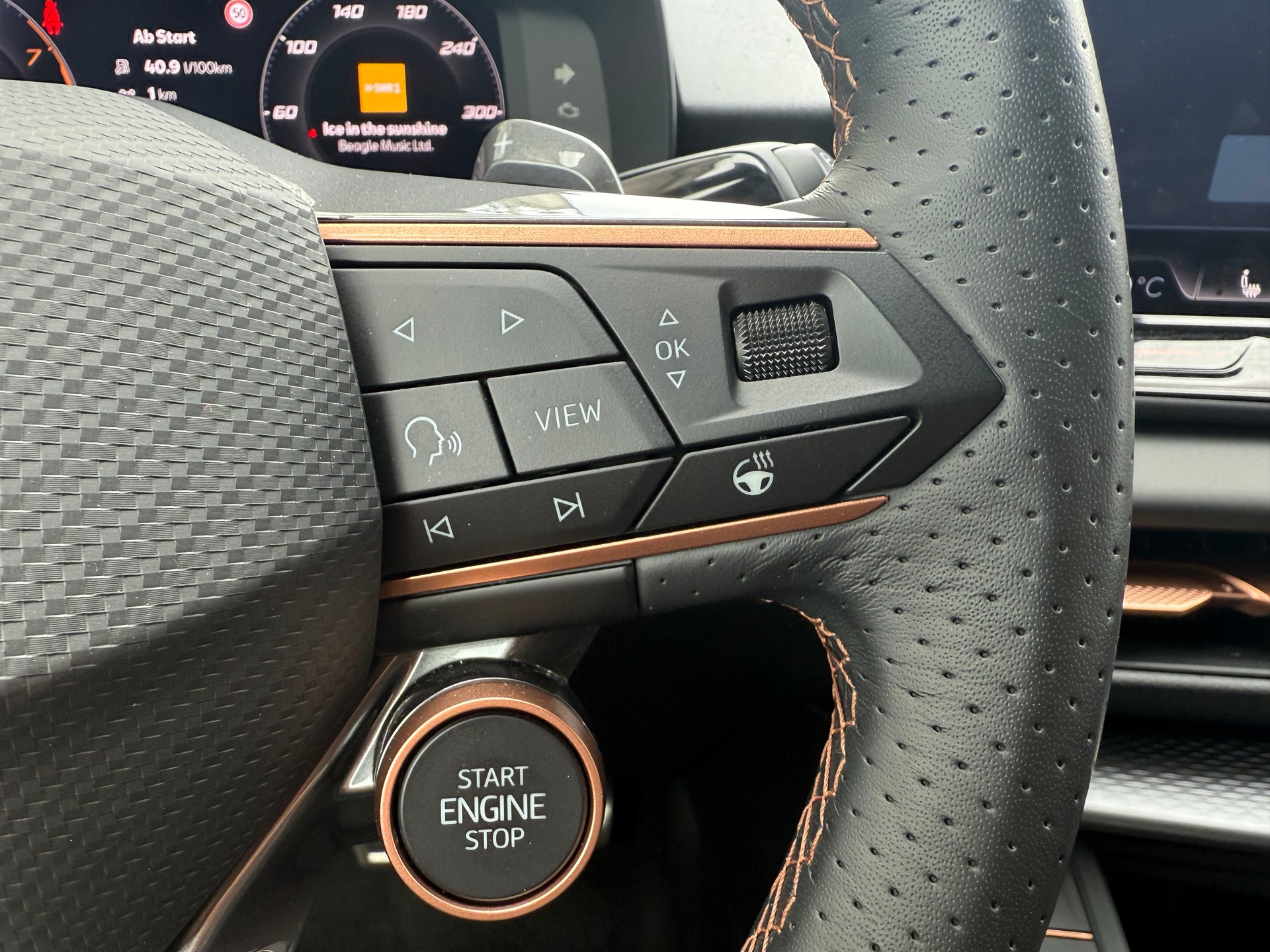 CUPRA Terramar 1.5 eTSI DSG-image-15