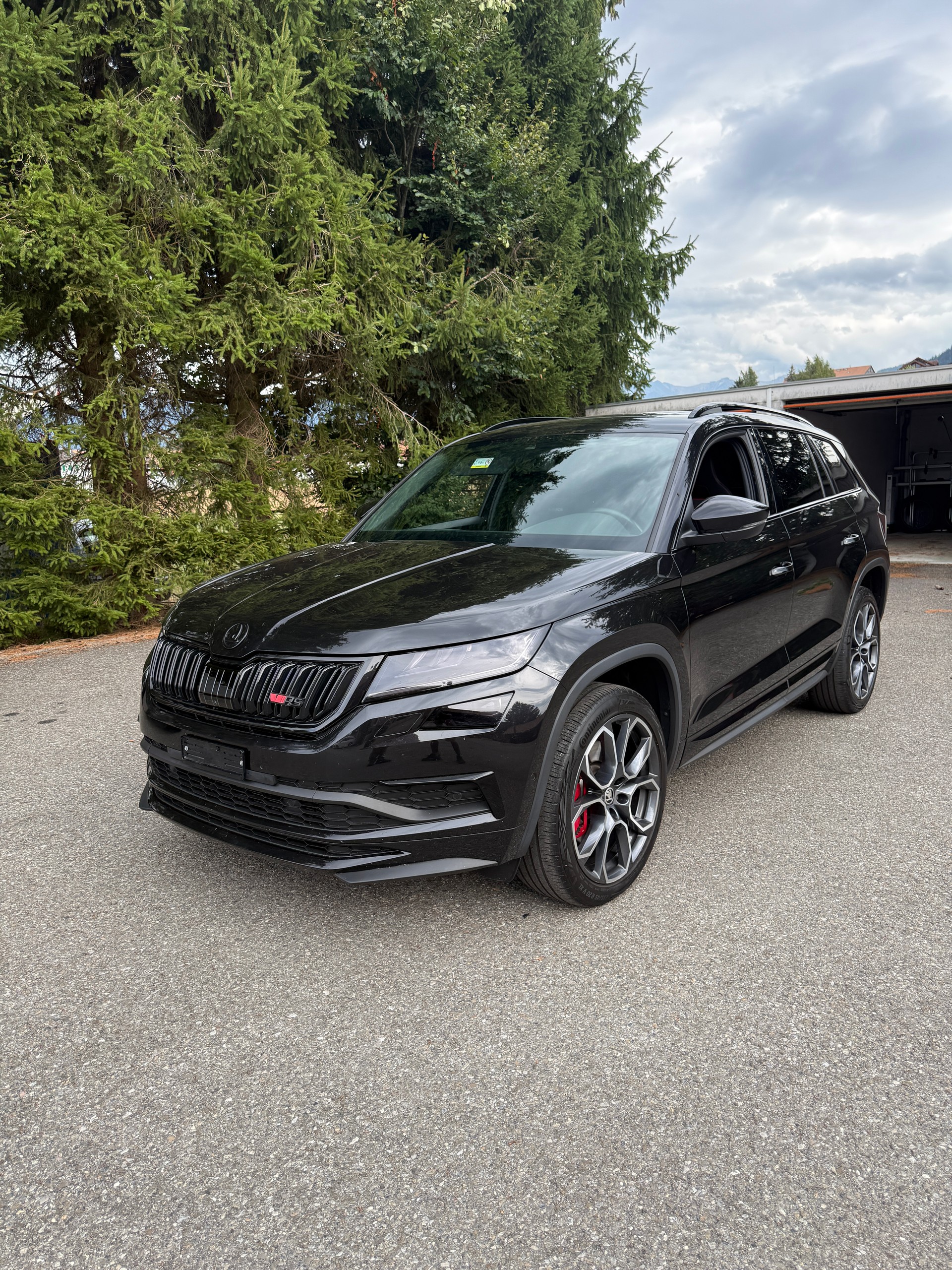 SKODA Kodiaq 2.0 Bi-TDI SCR RS 4x4 DSG-showroom-element-1