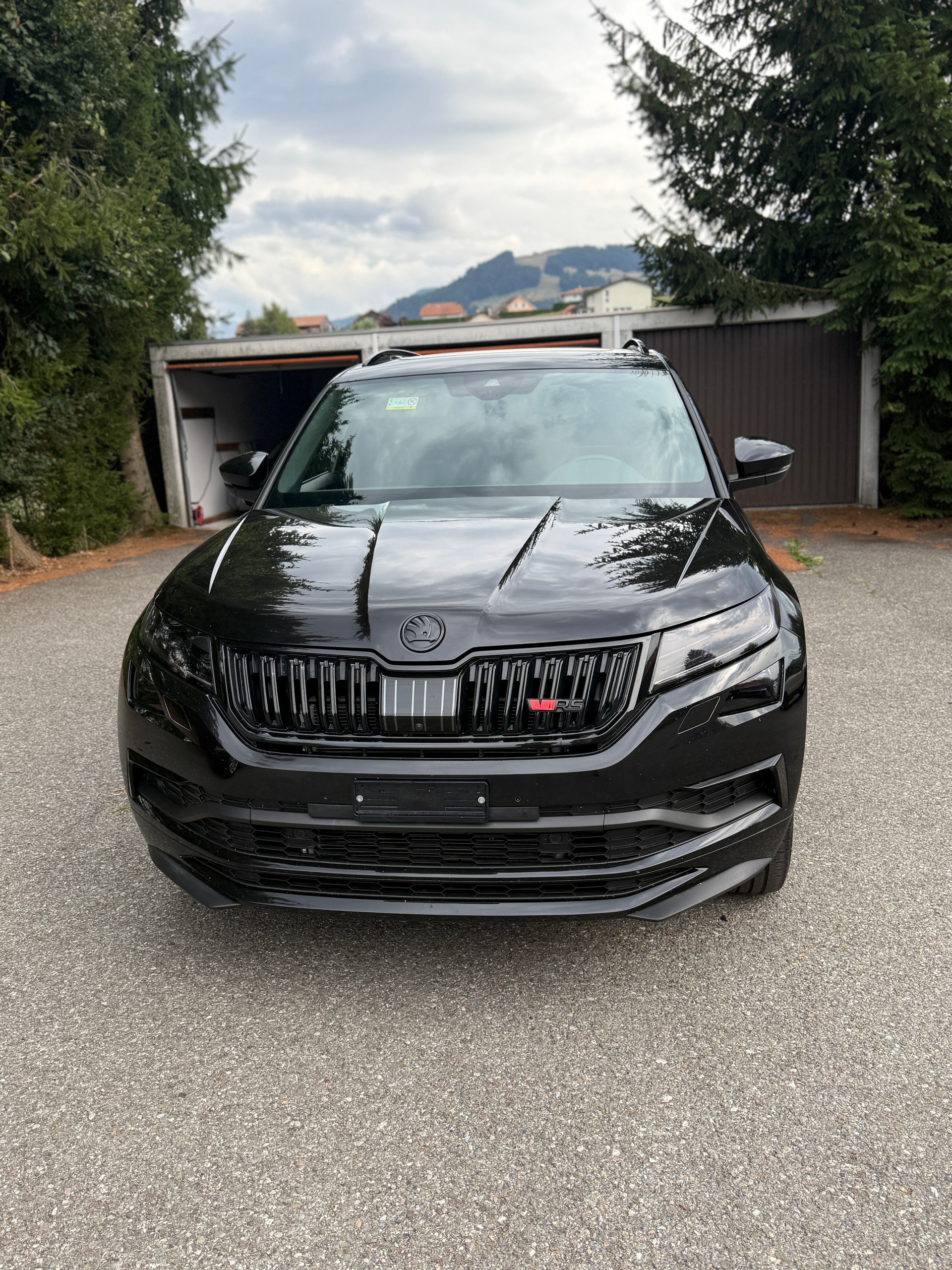 SKODA Kodiaq 2.0 Bi-TDI SCR RS 4x4 DSG-showroom-element-3