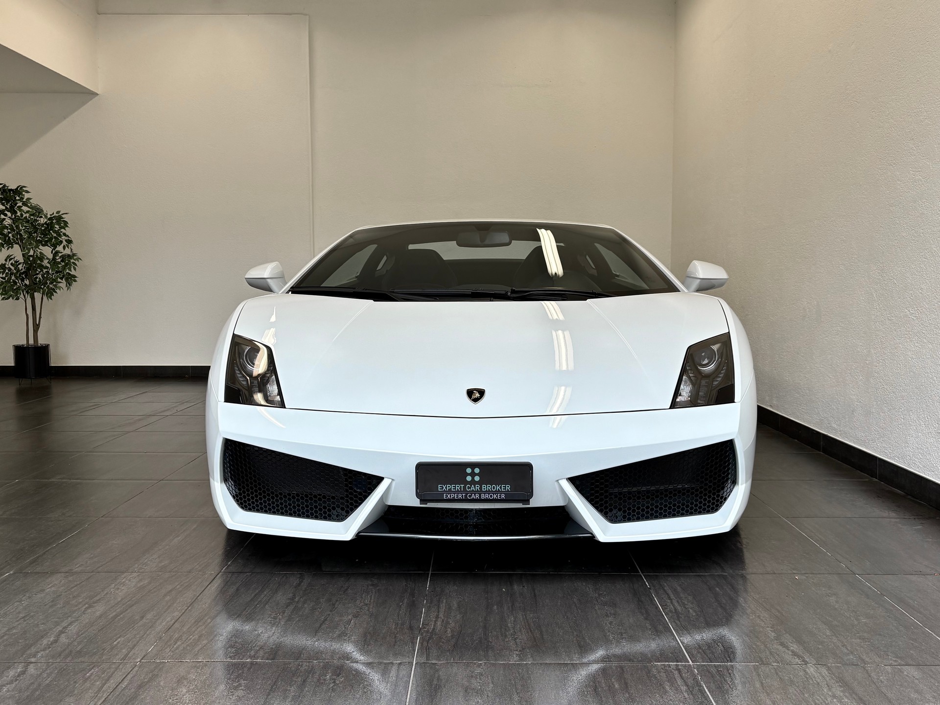 LAMBORGHINI Gallardo LP560-4 Coupé E-Gear-showroom-element-2