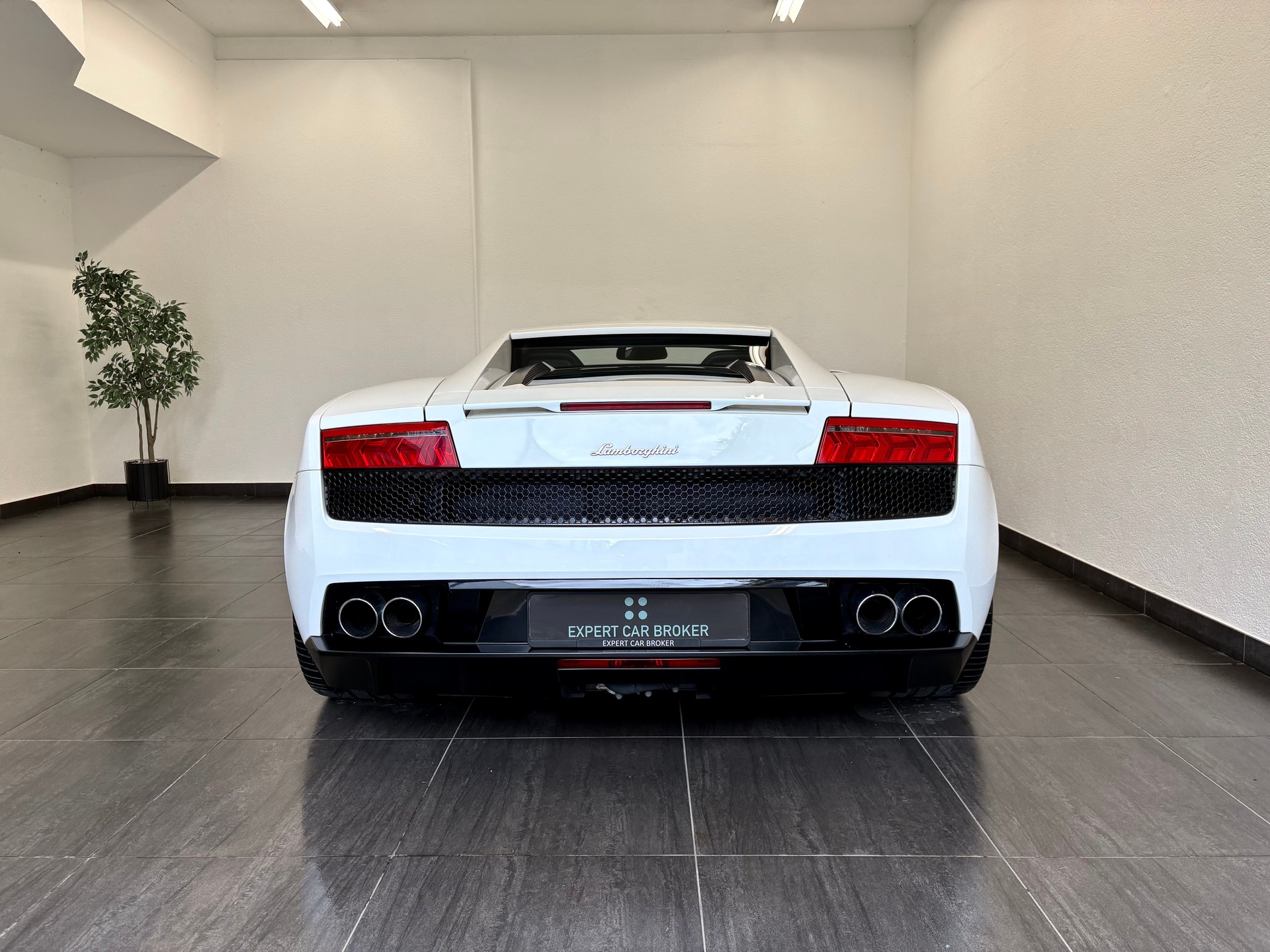 LAMBORGHINI Gallardo LP560-4 Coupé E-Gear-image-9
