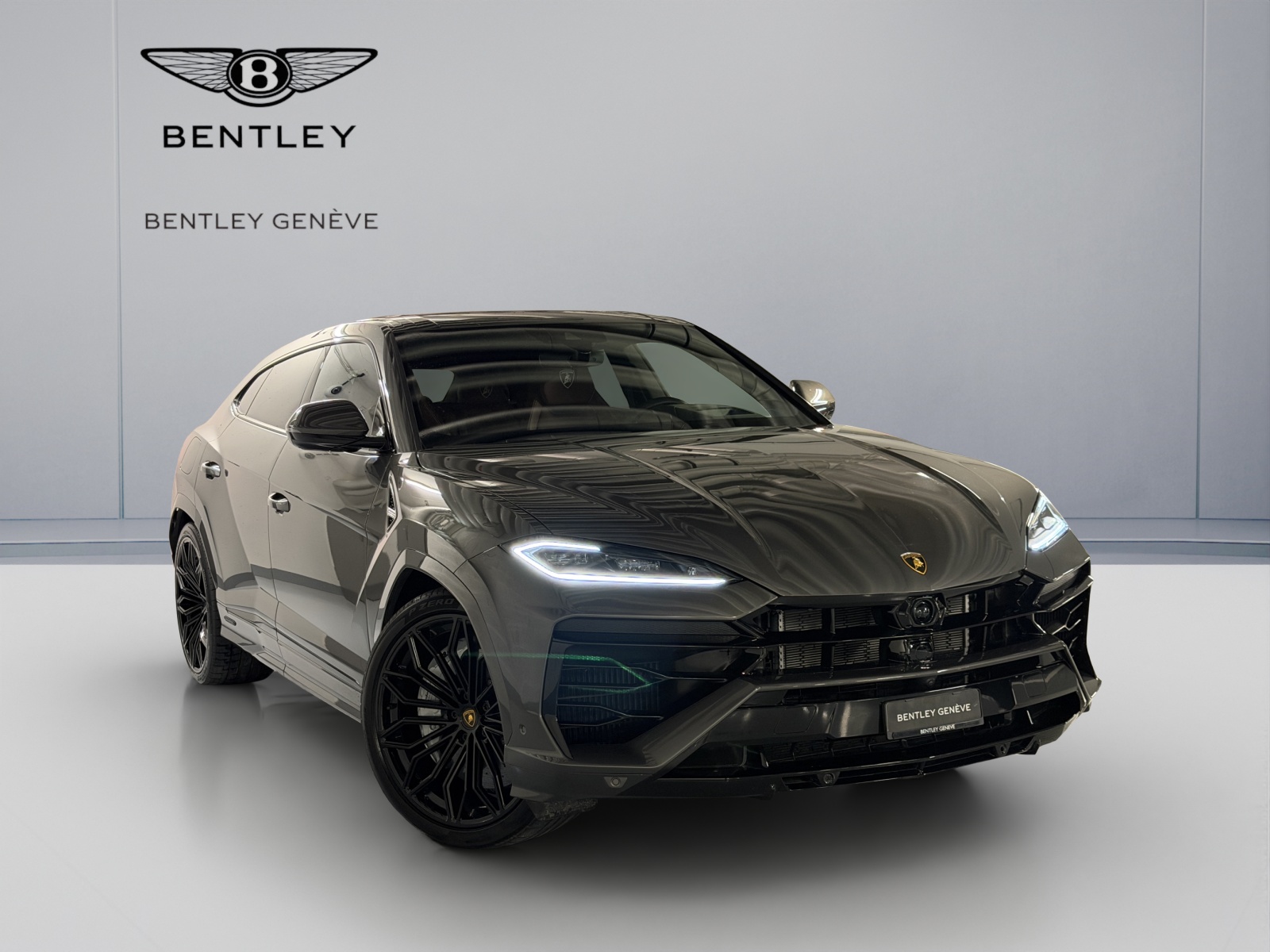 LAMBORGHINI Lamborghini Urus SE-showroom-element-2