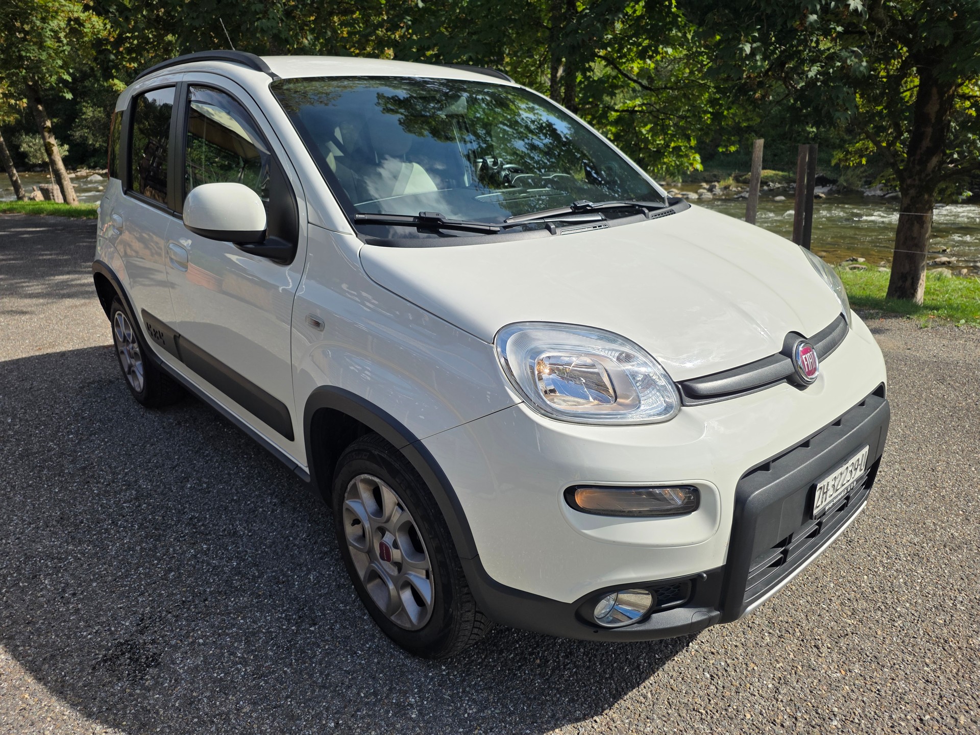 FIAT Panda 1.3 MJ Climbing 4x4 ☆☆☆ Hagelschaden ☆☆☆ DPF ersetzt ☆☆☆