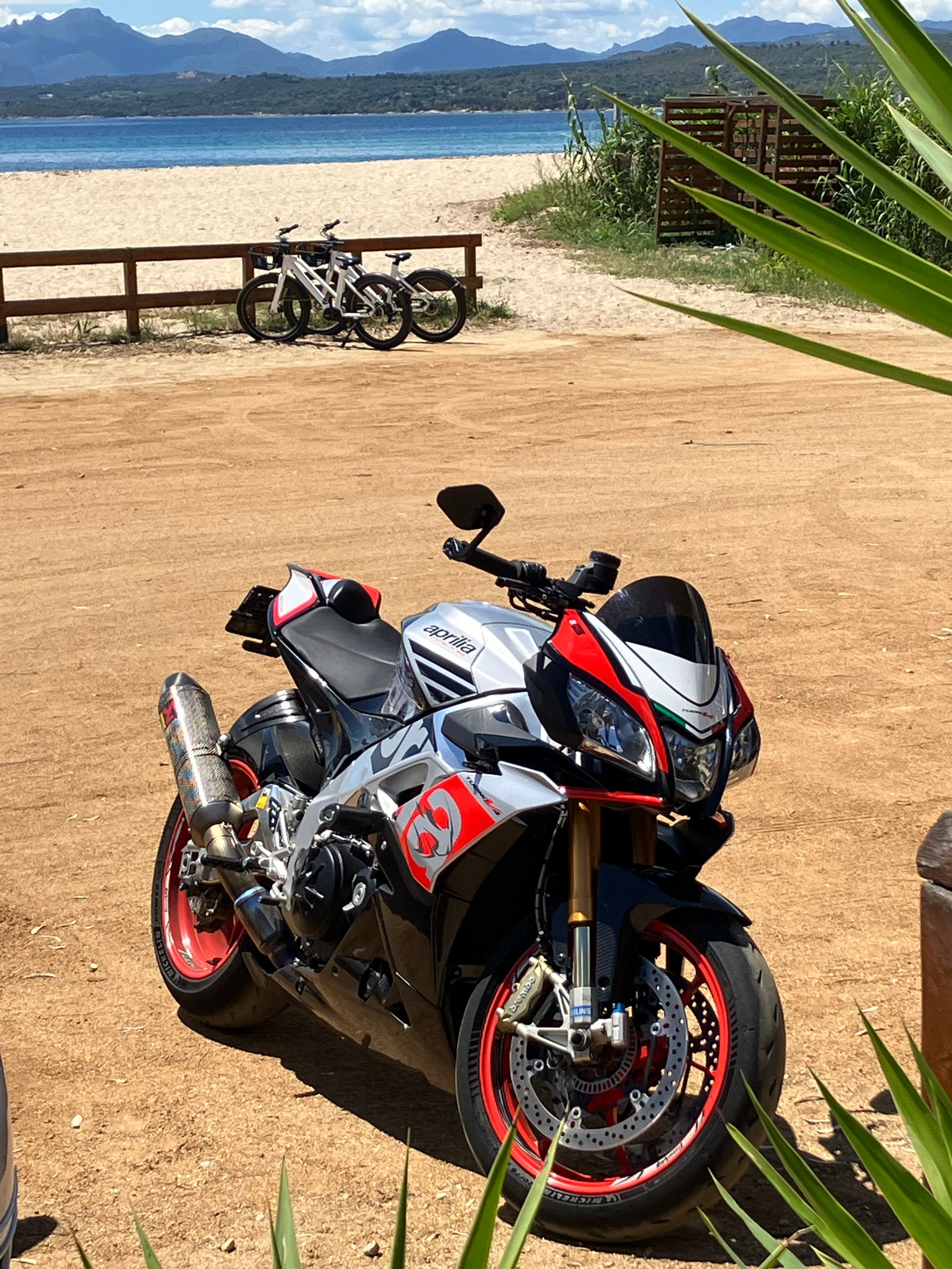 APRILIA Tuono V4 1100 Factory-image-0