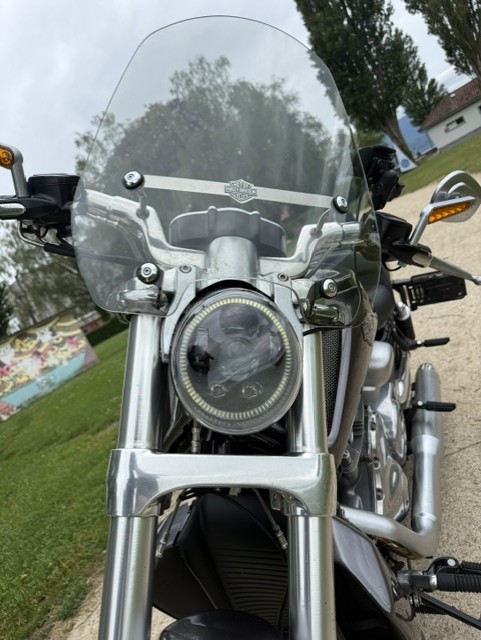 HARLEY-DAVIDSON VRSCF V-Rod Muscle ABS-image-8