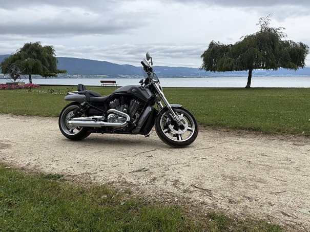 HARLEY-DAVIDSON VRSCF V-Rod Muscle ABS-image-4