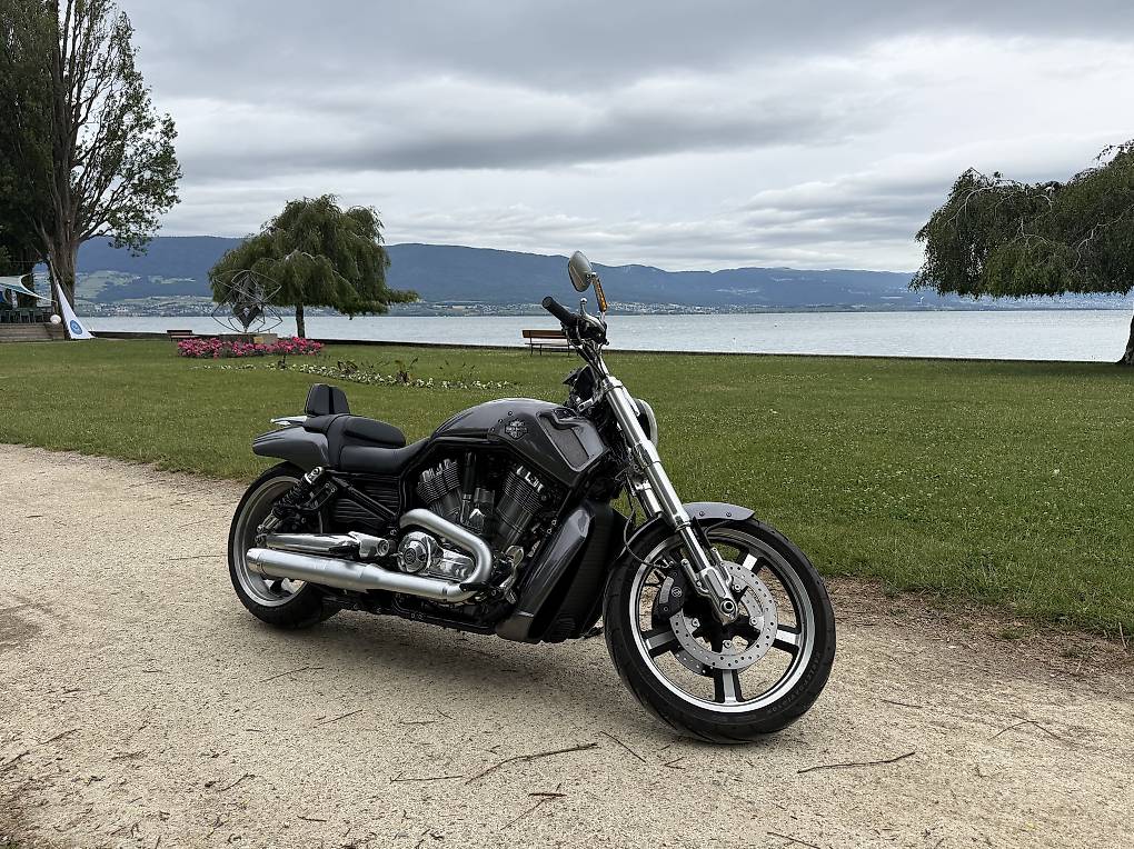 HARLEY-DAVIDSON VRSCF V-Rod Muscle ABS-image-0