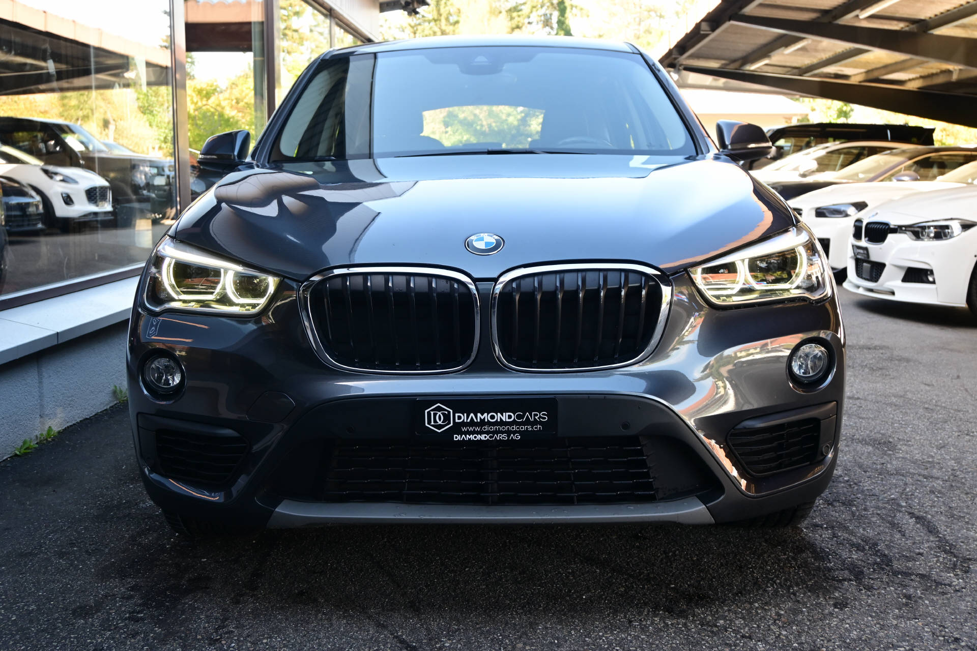 BMW X1 20d xDrive SAG-showroom-element-1