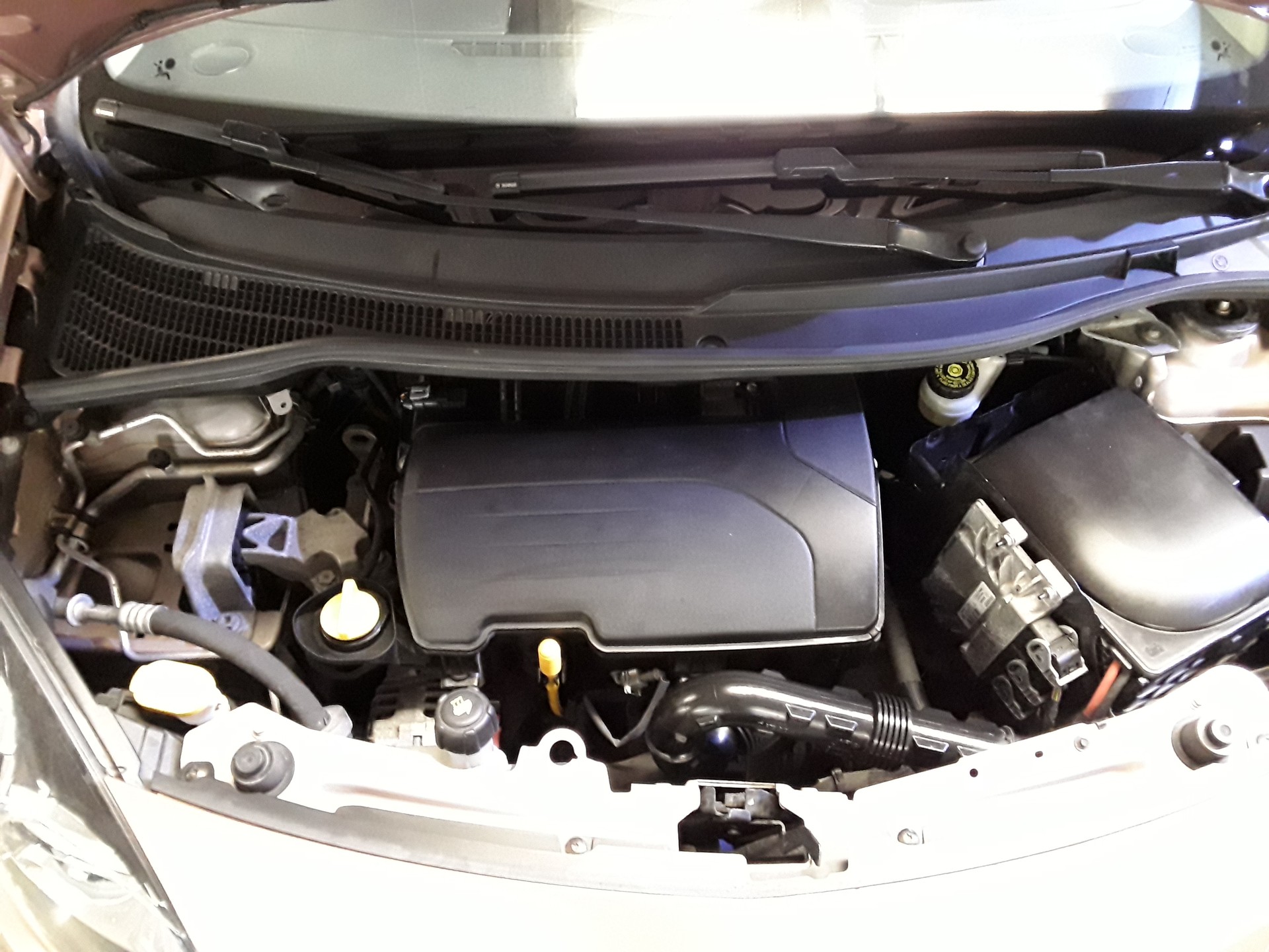 RENAULT Twingo 1.2 16V Miss Sixty-image-13