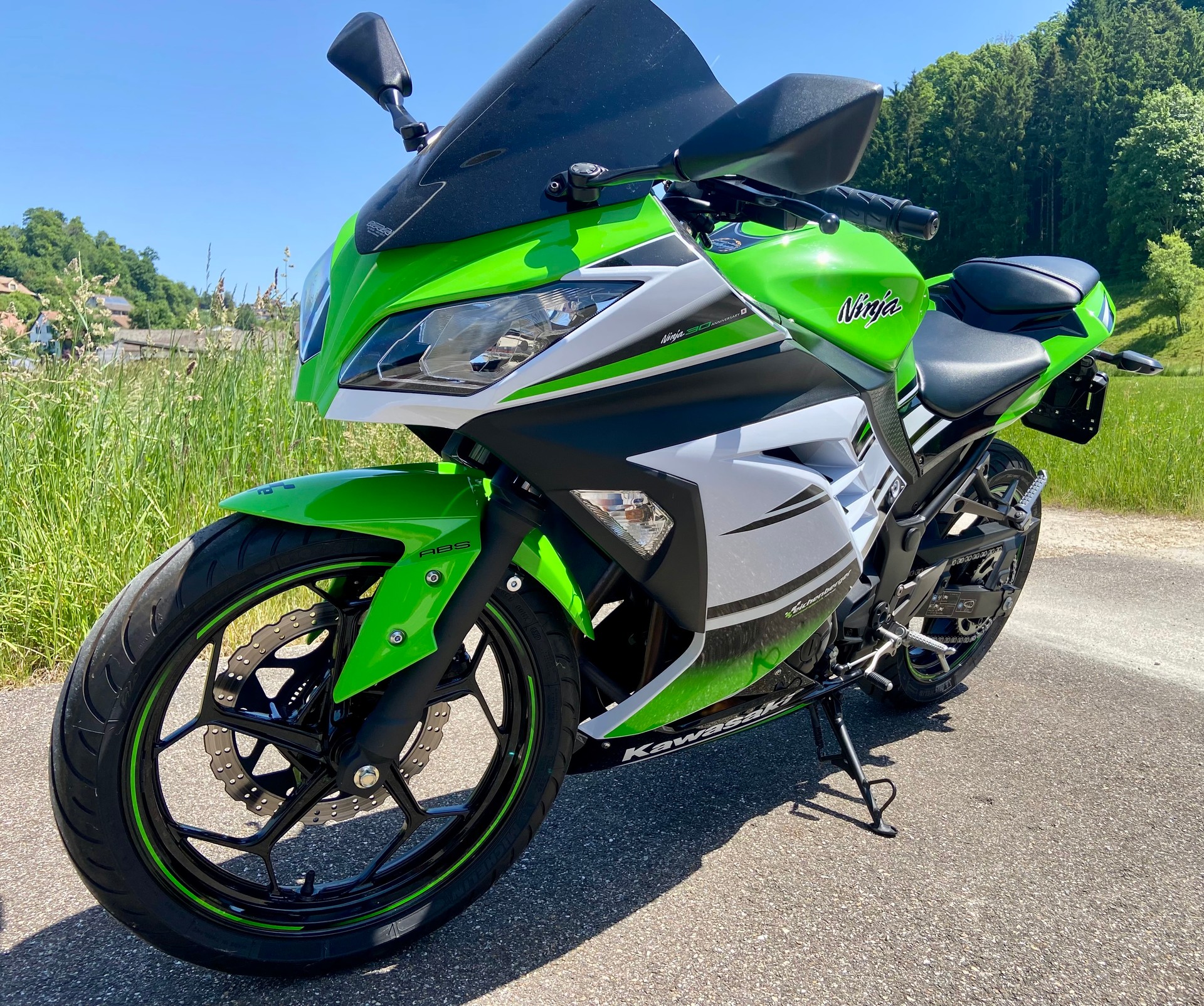 KAWASAKI Ninja 300 ABS-image-4