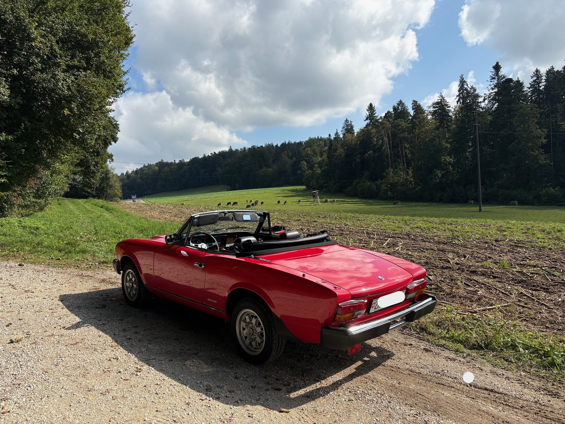 FIAT Spider 124 DS Europa 2.0 i.e.-image-7