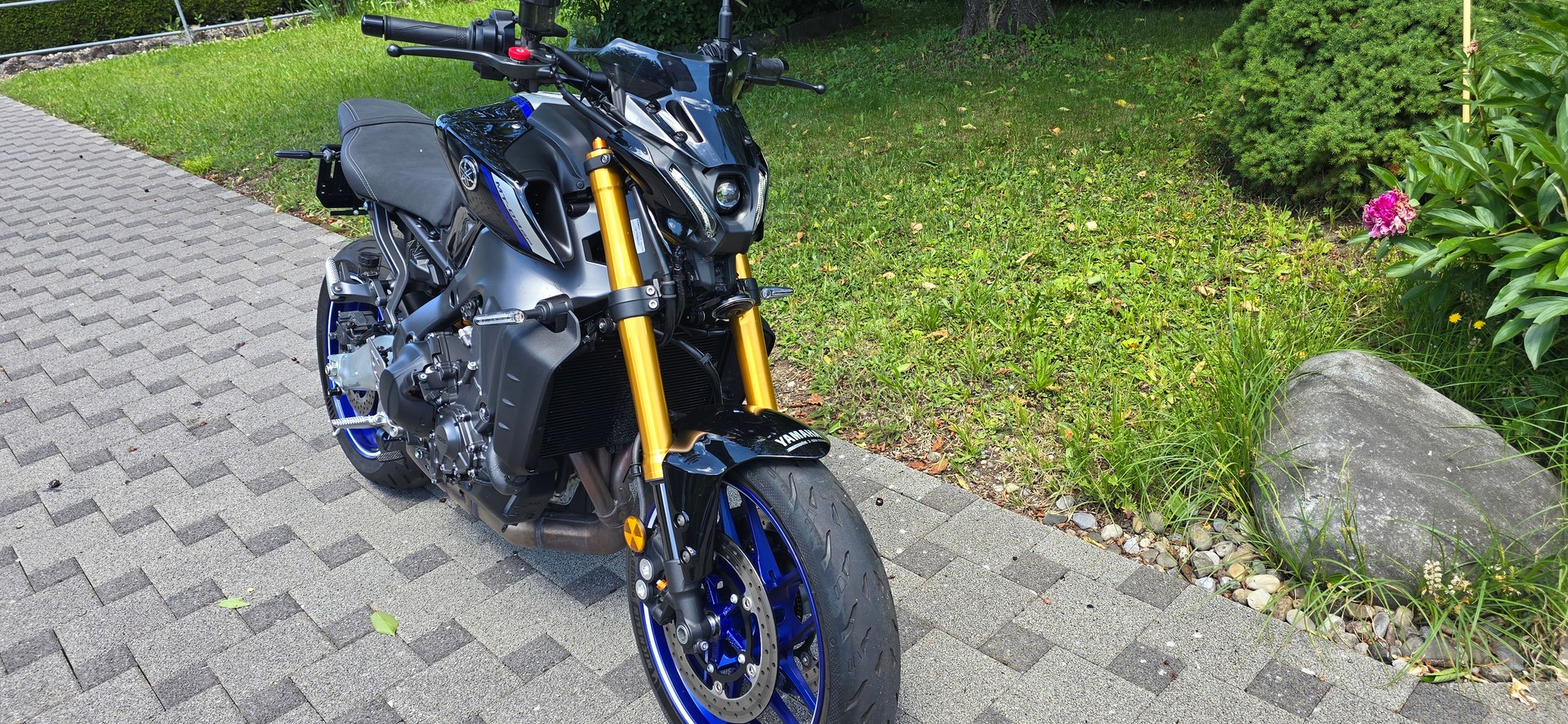 YAMAHA MT-09 SP-image-4