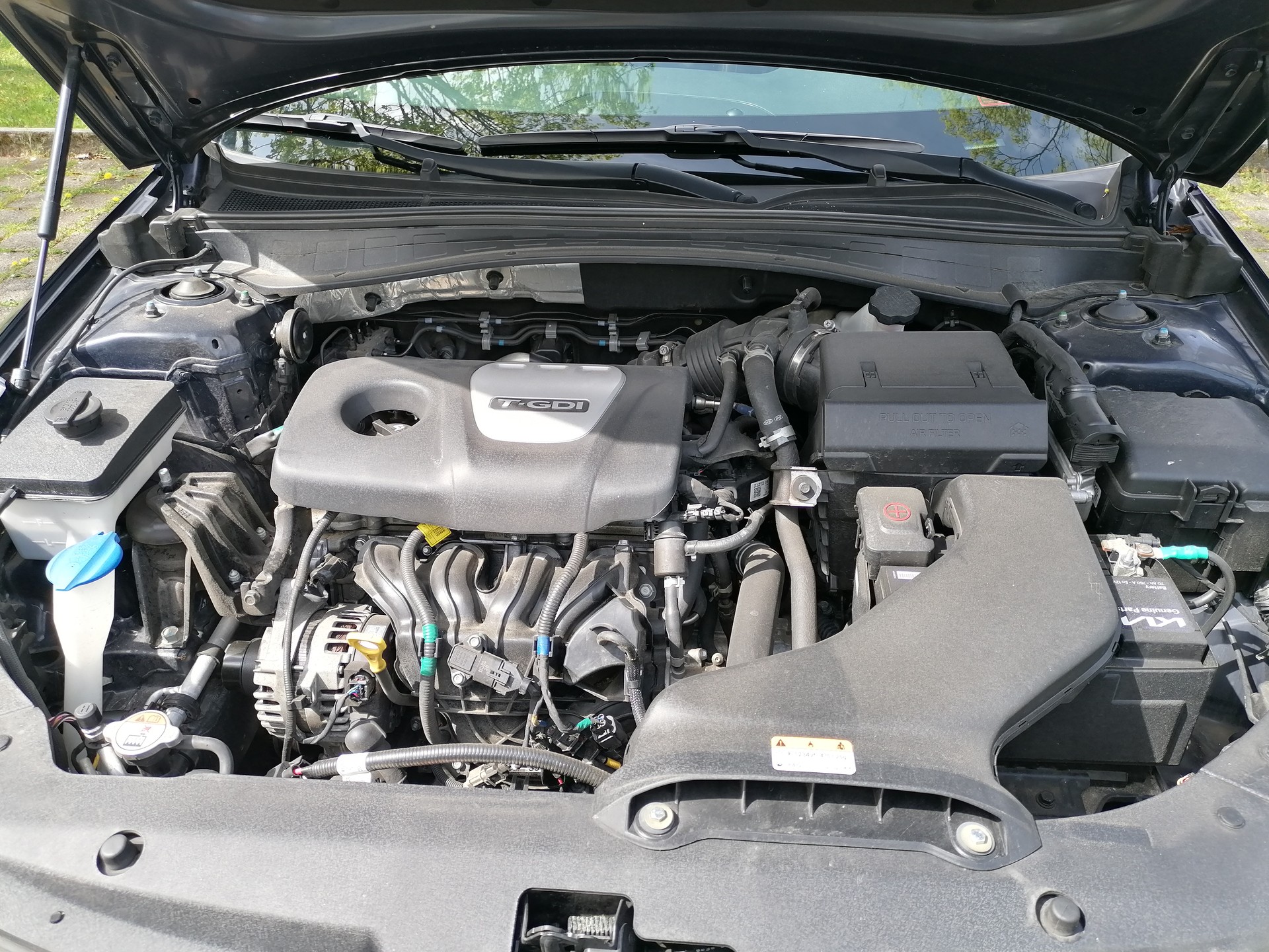 KIA 1.6 T-GDI 132 KW , SW, GT-LINE, Scheckheft gepflegt, Werksgarantie bis 09.2026-image-19
