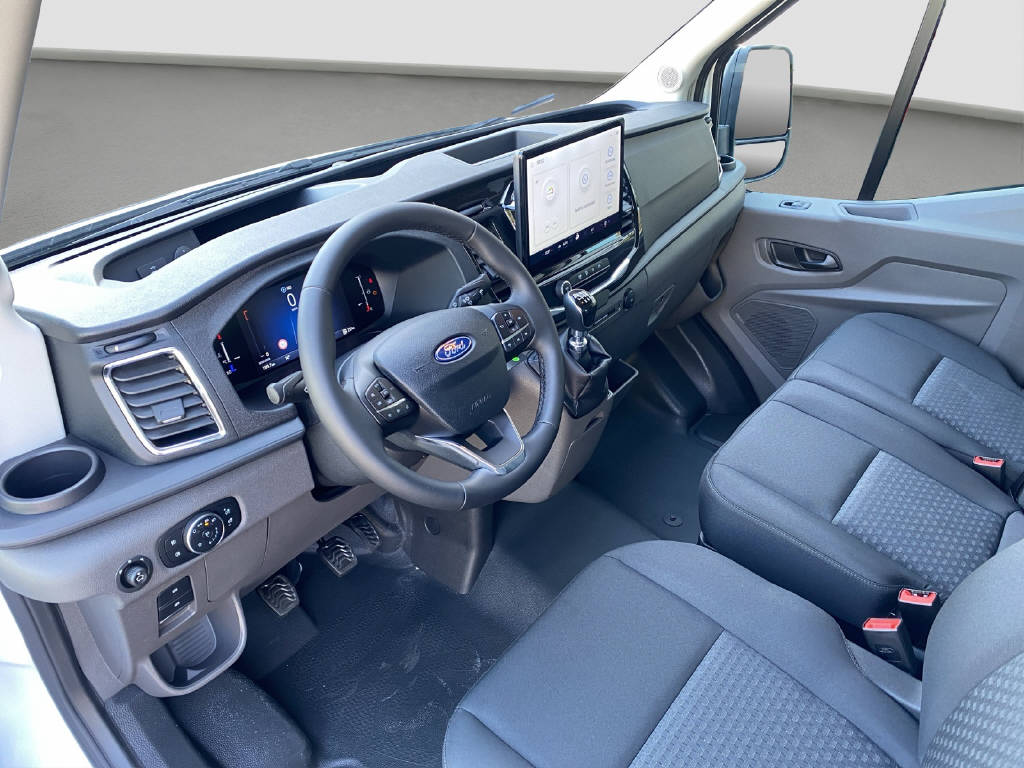FORD Transit S-Kab. 350 L2 2.0 EcoBlue 165 PS Trend Kipper + Box-image-19