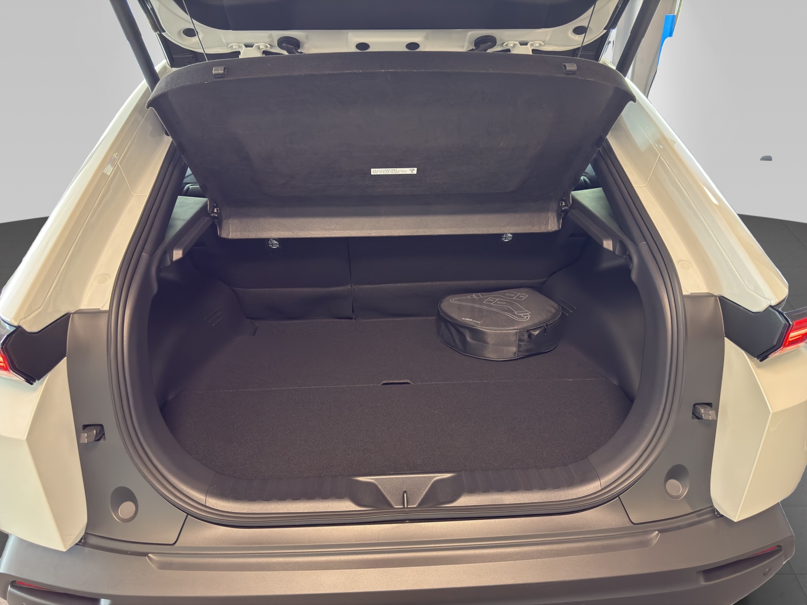 TOYOTA C-HR+ Style AWD-image-12