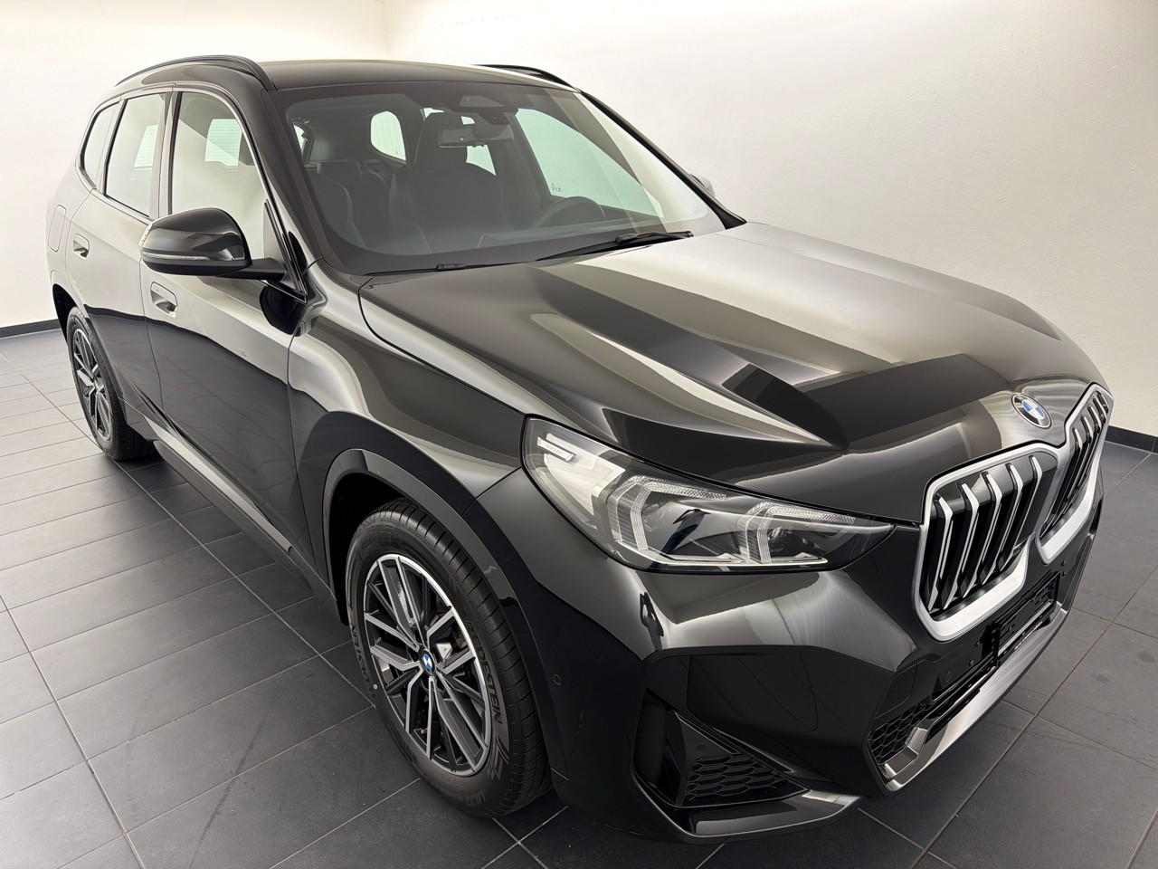 BMW X1 sDrive 18i M Sport-showroom-element-3