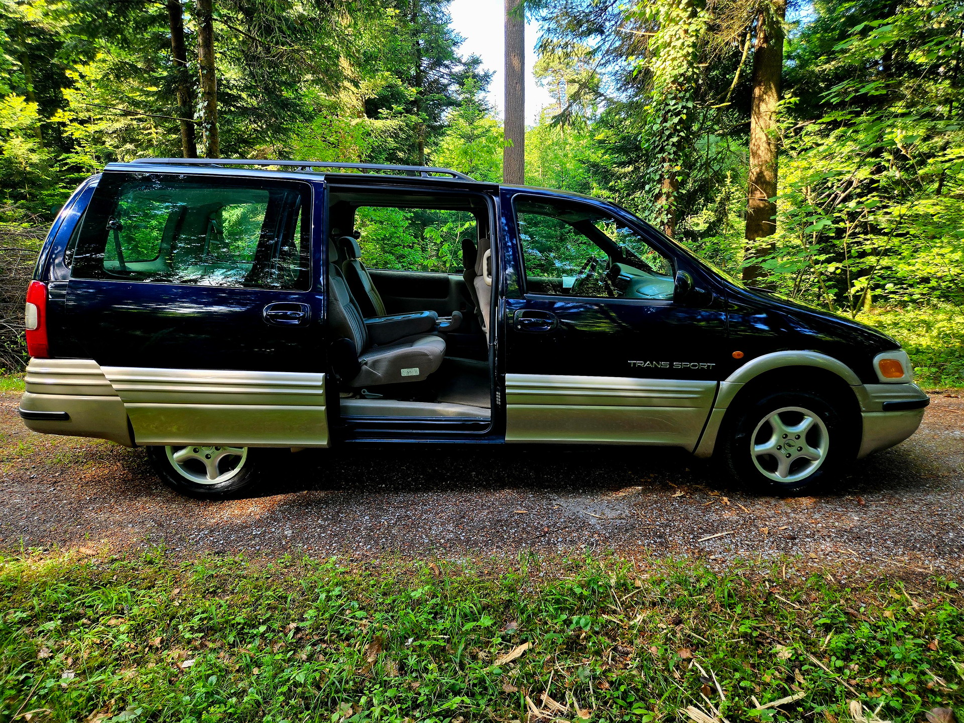 CHEVROLET Trans Sport 3.4 V6 D-image-2