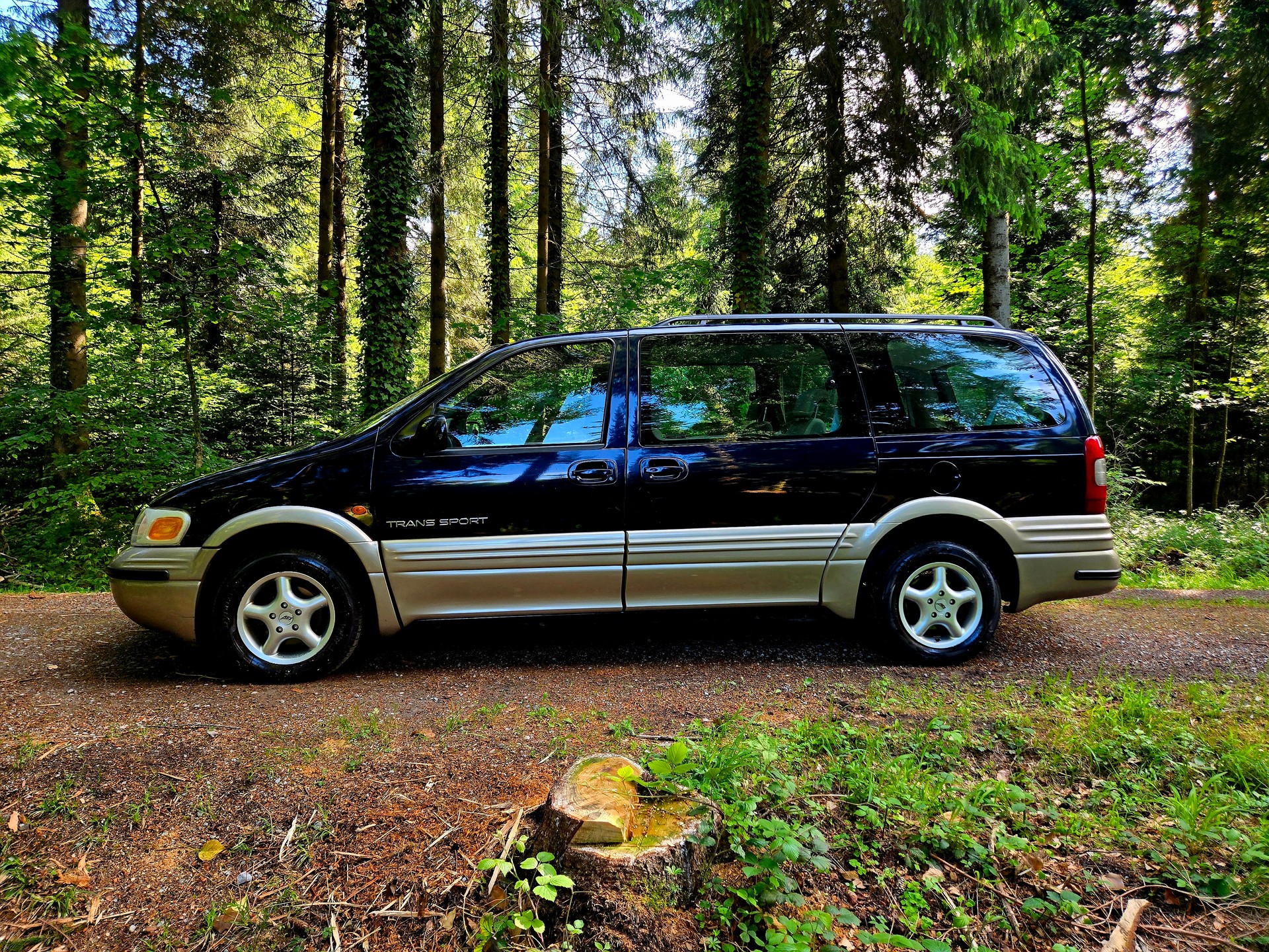 CHEVROLET Trans Sport 3.4 V6 D-image-7