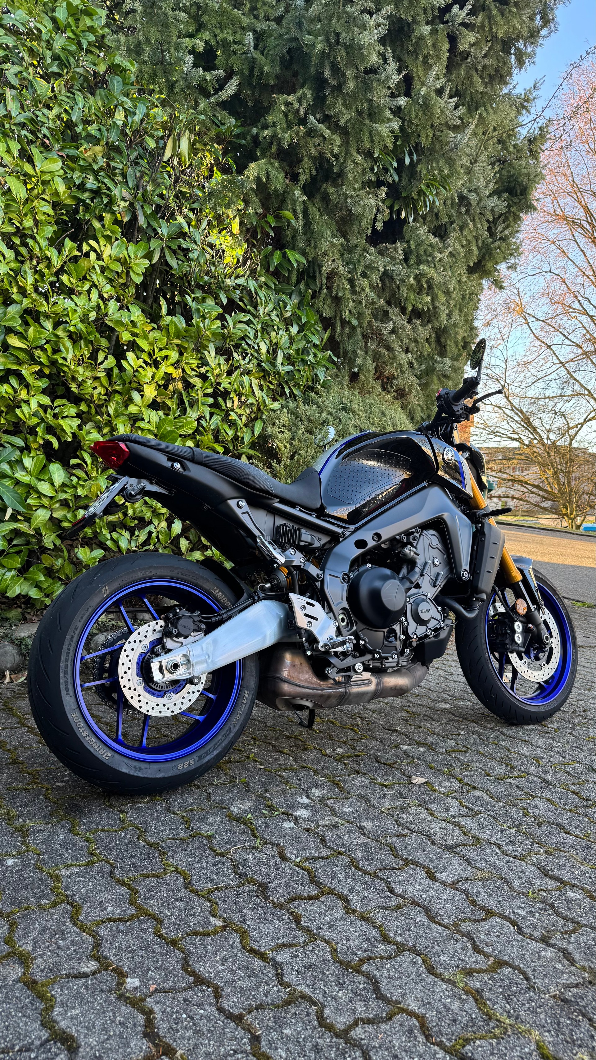 YAMAHA MT-09 SP-image-3