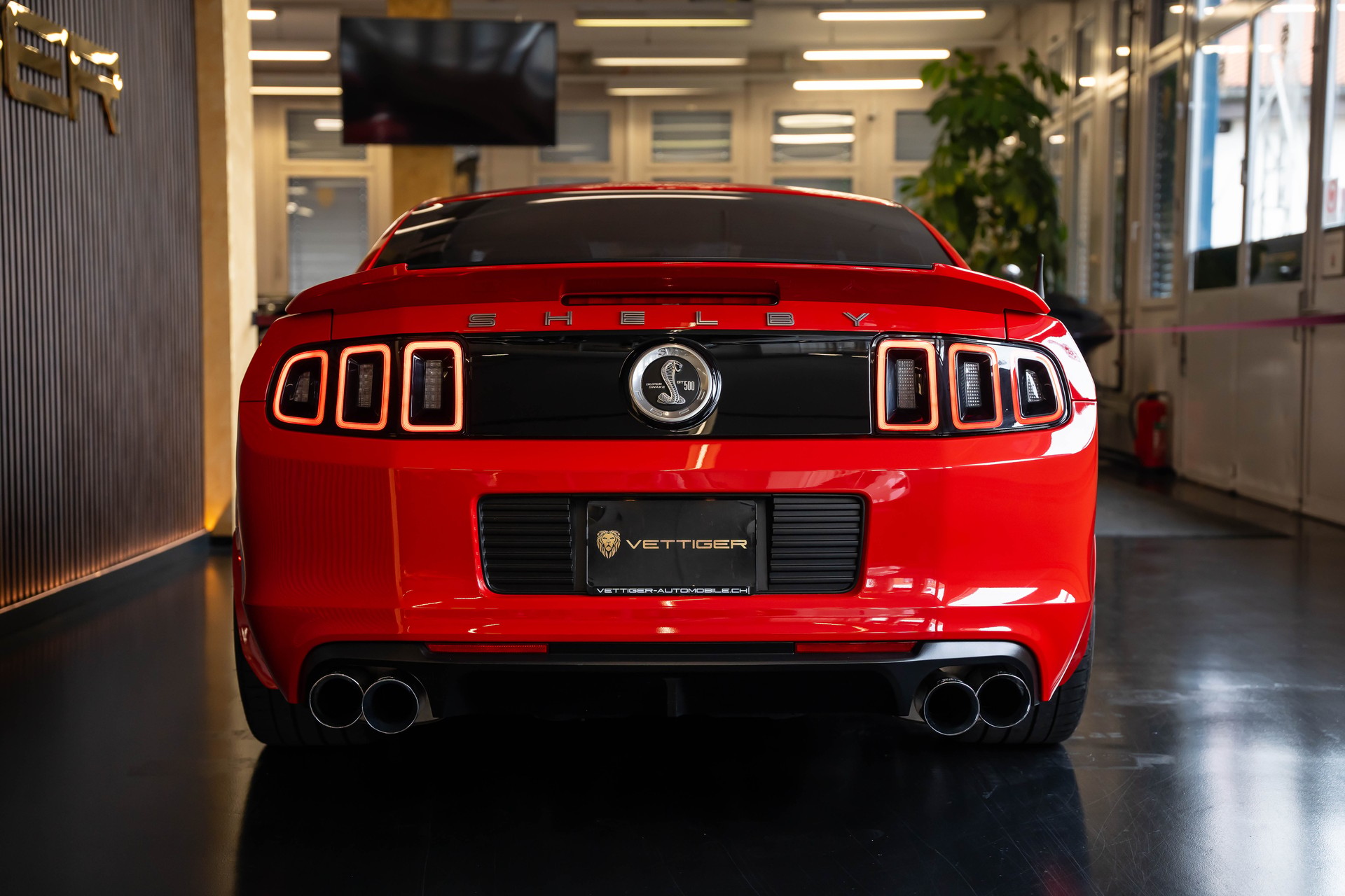 FORD MUSTANG Shelby GT 500 SuperSnake-image-4